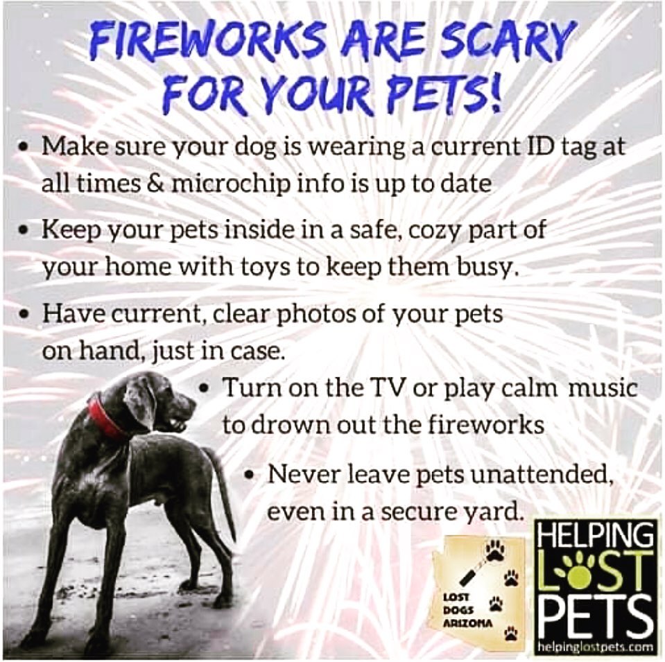 ‼️Current ID Tags on your pets, please! ‼️Doors and gates shut and locked. ‼️ The County shelter is full, so if you find a pet please try to shelter in place. ‼️helpinglostpets.com is your first and best resource in the event you find or lose a pet. Like and follow @lostdogsarizona on FB and IG - they reunite thousands of dogs with their owners annually! <a target='_blank' href='https://www.instagram.com/explore/tags/rescuedogsofinstagram/'>#rescuedogsofinstagram</a> <a target='_blank' href='https://www.instagram.com/explore/tags/fireworks/'>#fireworks</a> <a target='_blank' href='https://www.instagram.com/explore/tags/ptsd/'>#ptsd</a> <a target='_blank' href='https://www.instagram.com/explore/tags/honoryourneighbors/'>#honoryourneighbors</a> <a target='_blank' href='https://www.instagram.com/explore/tags/independenceday/'>#independenceday</a> <a target='_blank' href='https://www.instagram.com/explore/tags/scottsdale/'>#scottsdale</a> <a target='_blank' href='https://www.instagram.com/explore/tags/phoenix/'>#phoenix</a> <a target='_blank' href='https://www.instagram.com/explore/tags/gilbertaz/'>#gilbertaz</a> <a target='_blank' href='https://www.instagram.com/explore/tags/chandleraz/'>#chandleraz</a> <a target='_blank' href='https://www.instagram.com/explore/tags/mesaaz/'>#mesaaz</a> <a target='_blank' href='https://www.instagram.com/explore/tags/surpriseaz/'>#surpriseaz</a> <a target='_blank' href='https://www.instagram.com/explore/tags/litchfieldpark/'>#litchfieldpark</a> <a target='_blank' href='https://www.instagram.com/explore/tags/fountainhills/'>#fountainhills</a>