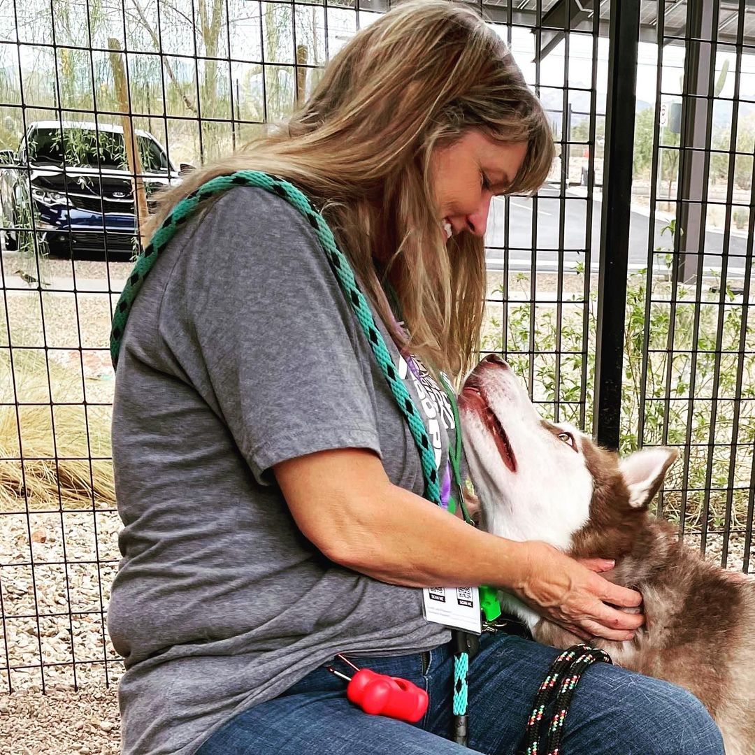 ATTENTION Arizona Dog Supporters‼️‼️‼️

SLATER needs you NOW🆘🆘🆘
Currently at the Tucson County Shelter (PACC), and set to be 🚨EUTHANIZED Saturday 7/10🚨

Slater has been a volunteer favorite, and after visiting him today personally, I can 💯 % agree! He is affectionate, playful, engaging and sweet. Slater can use some training to polish up, but don’t worry about that…our rescue will provide all training and cost of care. Please fill out an application to foster/adopt Slater today. Our rescue will support his pull with the right foster/adopter. 

✅ Good with other dogs in playgroups 
✅ Dog/breed savvy home
❌ No young children (16+ only)

Please hurry and fill out the application. We don’t want to wait till the last day to save Slater’s life.

The direct link to adopt is https://www.shelterluv.com/matchme/adopt/LHSR/Dog and the direct link to foster is https://www.shelterluv.com/matchme/foster/LHSR/Dog<a target='_blank' href='https://www.instagram.com/explore/tags/husky/'>#husky</a> <a target='_blank' href='https://www.instagram.com/explore/tags/rescuedogsofinstagram/'>#rescuedogsofinstagram</a> <a target='_blank' href='https://www.instagram.com/explore/tags/rescue/'>#rescue</a> <a target='_blank' href='https://www.instagram.com/explore/tags/huskiesofinstagram/'>#huskiesofinstagram</a> <a target='_blank' href='https://www.instagram.com/explore/tags/huskylife/'>#huskylife</a> <a target='_blank' href='https://www.instagram.com/explore/tags/beautifulhusky/'>#beautifulhusky</a> <a target='_blank' href='https://www.instagram.com/explore/tags/huskeylover/'>#huskeylover</a> <a target='_blank' href='https://www.instagram.com/explore/tags/lucyshoperescue/'>#lucyshoperescue</a>