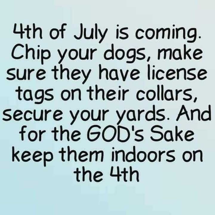 WORST SHELTER DAY OF THE YEAR!

PLEASE leave the fireworks displays to the professionals!

Avoid personal injury, potential fires, spooking animals, humans with PTDS, etc...

Not everyone enjoys fireworks PLEASE respect that!