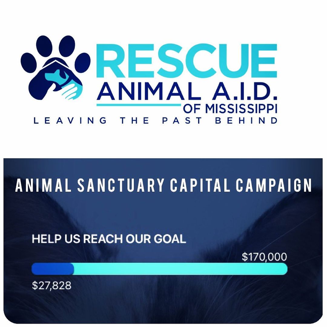 Four Paws Farm d/b/a Animal A.I.D. of Mississippi is an IRS 501 (c)(3) animal rescue group, currently foster-based, but with BIG plans to build an animal sanctuary facility along the Mississippi Gulf Coast.

Our principals have offered a 20 acre parcel of land to do just that, setting in motion our goal to become the only animal sanctuary along the Mississippi Gulf Coast. Animal A.I.D. is entirely supported by volunteers. 

Sadly, one of the biggest obstacles to rescuing more animals that are fully deserving and desperately in need of our help, is not having access to qualified fosters to care for these animals. Four Paws Farm is the answer to this need - and you can help! 

Visit animalaidms.org to learn more about our Capital Campaign and the many other ways you can help us help animals in dire need. 🐾 🙏🐾