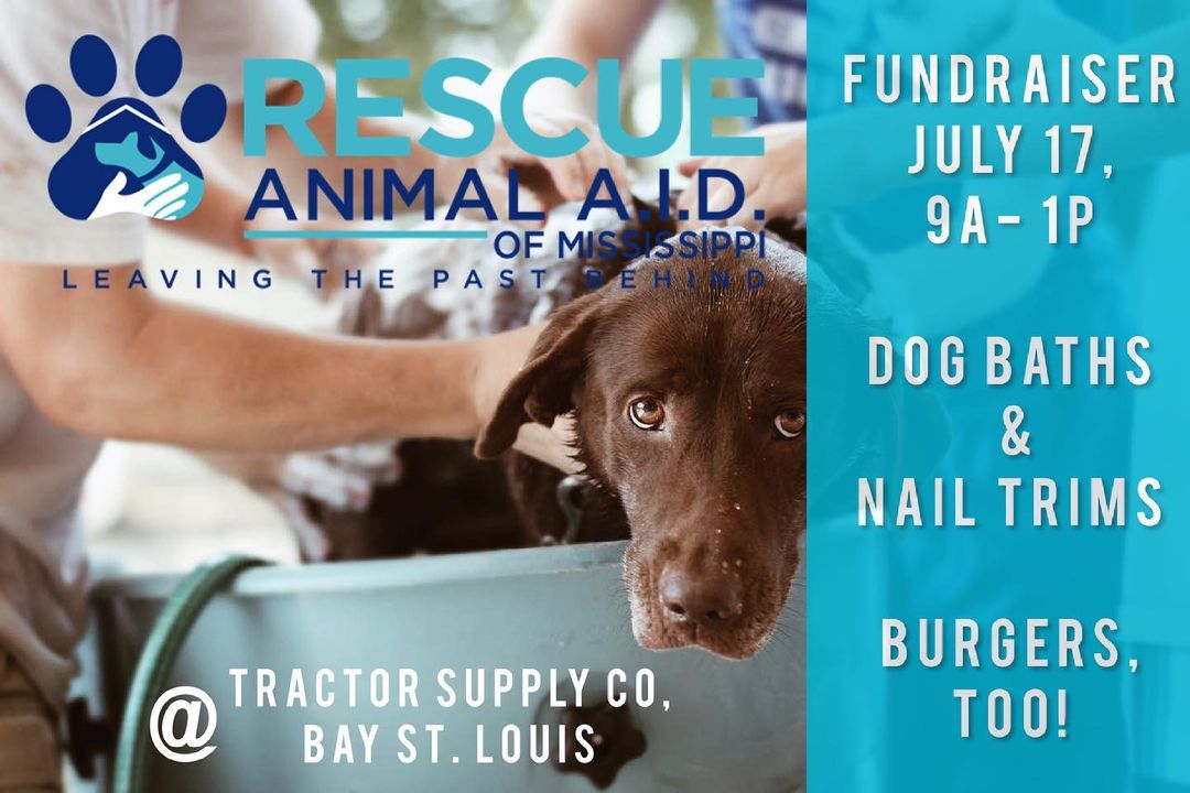 Does your dog need a bath? How about a nail trim? 

Come see us at our FUNdraiser on July 17, 9a-1p at Tractor Supply Co. in Bay St. Louis where we’ll bathing dogs and trimming nails for tips! 💰 
There will be hamburgers and cheeseburgers for sale, too! 🍔 😋 

All proceeds will help support the construction the only animal sanctuary on the Mississippi Gulf Coast! 🐶 ❤️ 🐱 

If you would like to let us know ahead of time you will be bringing your furbaby, just send us a message. 

Friendly dogs ONLY, please! 🙏🏼