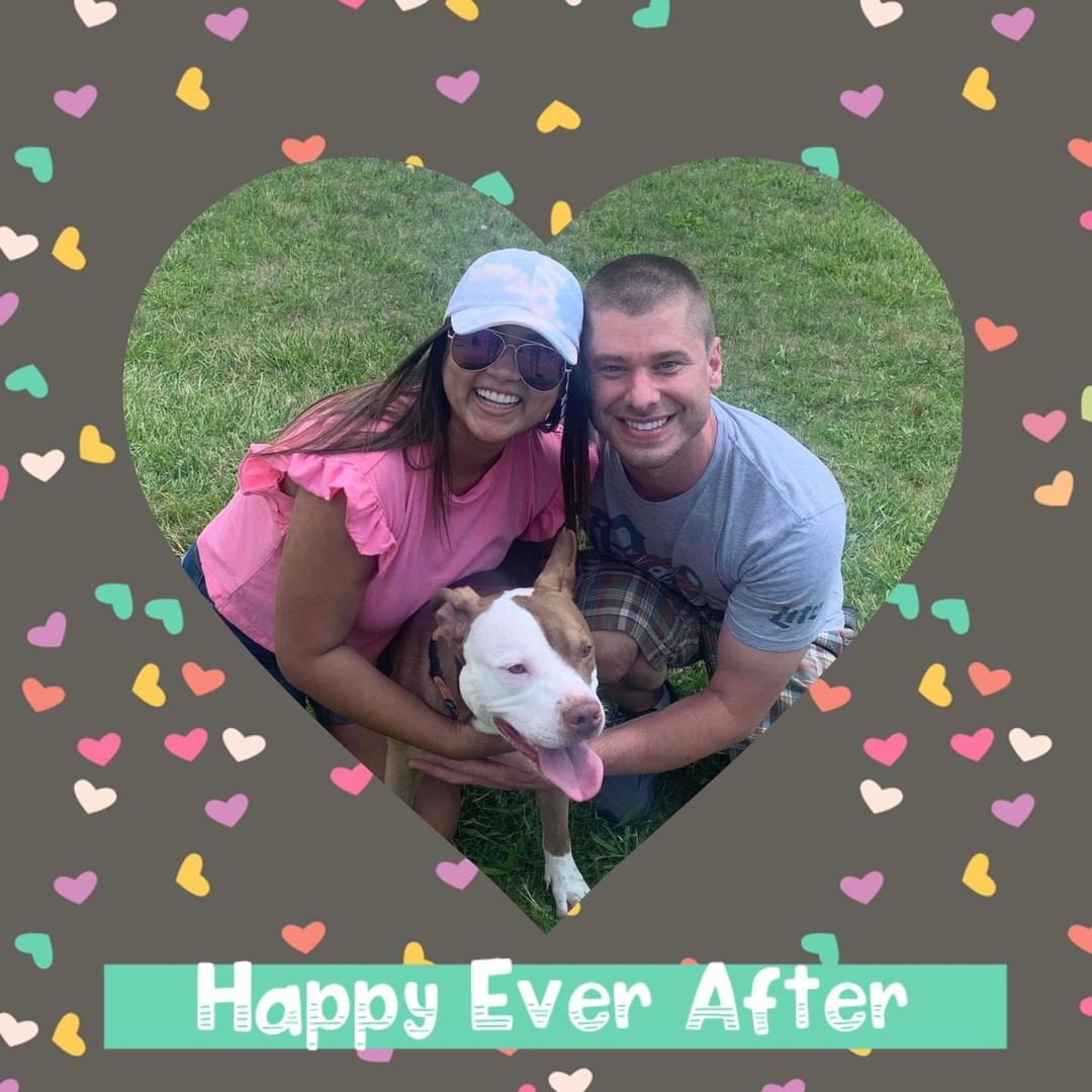 We’re thrilled to announce that Miss Zoey has finally found her forever home! Congratulations to Zoey and her new family! 🐾💜