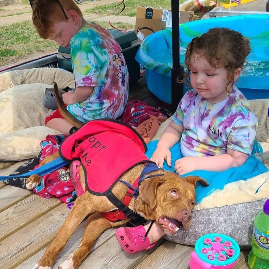 RRAR at the Hibbing Jubilee Parade today! 🐶❤️🐱
.
.
.
<a target='_blank' href='https://www.instagram.com/explore/tags/RangeRescue/'>#RangeRescue</a> <a target='_blank' href='https://www.instagram.com/explore/tags/hibbing/'>#hibbing</a> <a target='_blank' href='https://www.instagram.com/explore/tags/hibbingjubileeparade/'>#hibbingjubileeparade</a> <a target='_blank' href='https://www.instagram.com/explore/tags/summer/'>#summer</a> <a target='_blank' href='https://www.instagram.com/explore/tags/fun/'>#fun</a>