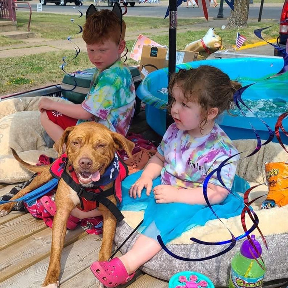 RRAR at the Hibbing Jubilee Parade today! 🐶❤️🐱
.
.
.
<a target='_blank' href='https://www.instagram.com/explore/tags/RangeRescue/'>#RangeRescue</a> <a target='_blank' href='https://www.instagram.com/explore/tags/hibbing/'>#hibbing</a> <a target='_blank' href='https://www.instagram.com/explore/tags/hibbingjubileeparade/'>#hibbingjubileeparade</a> <a target='_blank' href='https://www.instagram.com/explore/tags/summer/'>#summer</a> <a target='_blank' href='https://www.instagram.com/explore/tags/fun/'>#fun</a>