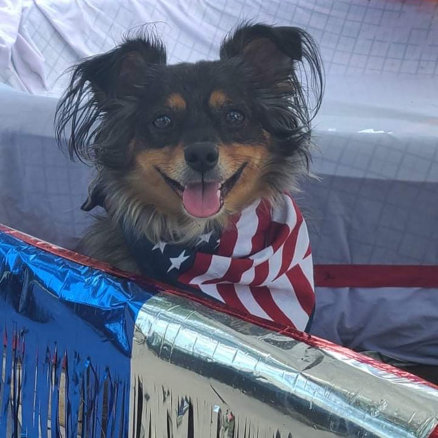 RRAR at the Hibbing Jubilee Parade today! 🐶❤️🐱
.
.
.
<a target='_blank' href='https://www.instagram.com/explore/tags/RangeRescue/'>#RangeRescue</a> <a target='_blank' href='https://www.instagram.com/explore/tags/hibbing/'>#hibbing</a> <a target='_blank' href='https://www.instagram.com/explore/tags/hibbingjubileeparade/'>#hibbingjubileeparade</a> <a target='_blank' href='https://www.instagram.com/explore/tags/summer/'>#summer</a> <a target='_blank' href='https://www.instagram.com/explore/tags/fun/'>#fun</a>