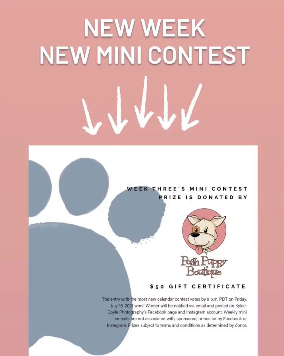 Let’s keep the momentum going! We are so close to already hitting the fundraising goal & we are stunned!!! So, so, so APPRECIATIVE of all of you & @kyleedoylephotography ❤️ 

🔶🔷New week, new contest! Go enter your pooch & continue to VOTE🔹🔶 

Follow @kyleedoylephotography for updates & beautiful photos of animals that are guaranteed to spark joy on your timeline!