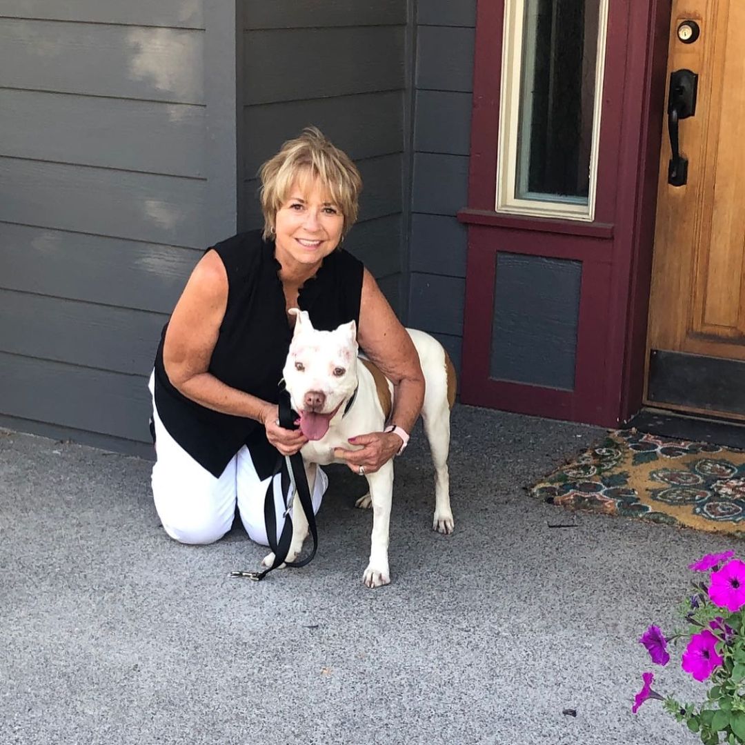 We're thrilled to announce that Jamie has been officially adopted! He now has the most wonderful forever home with the Teller's, a retired couple from Bend. They saw his photos and submitted an application while in North Carolina for their daughter's wedding. Although they were still grieving the loss of their last pitbull, something about Jamie's ears and his sweet smile just told them he was supposed to be theirs. As soon as they got home, they drove from Bend to Portland to meet him in person. His new mom walked in to his foster home, immediately sat down on the the dog bed and they cuddled like they were meant to be together. She even brought gift bags for his foster brothers!

Jamie is now living the high life in Eastern Oregon with lots of rescue doggie cousins, and the best parents we could have asked for. He deserves every bit of it!