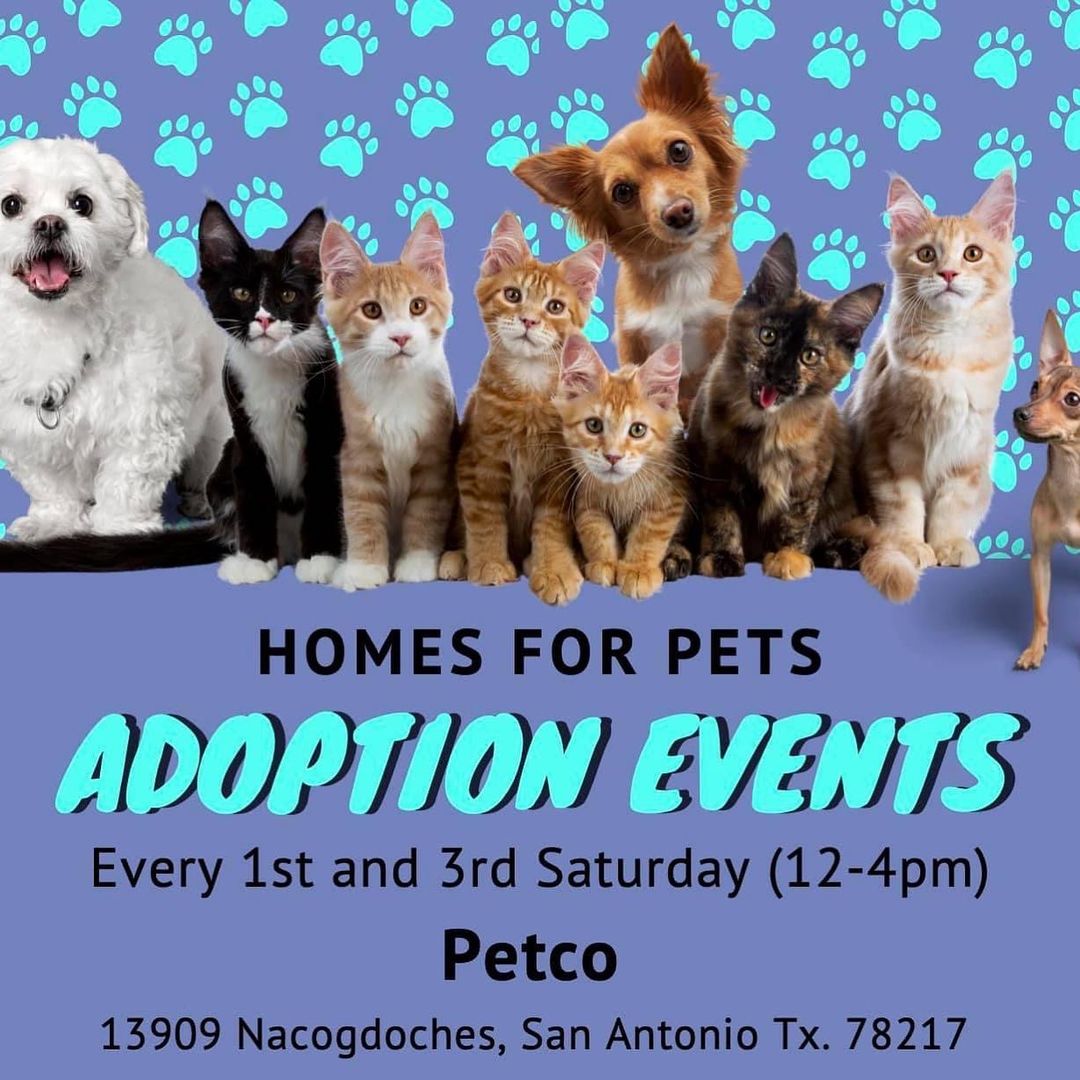 Tomorrow, July 17th, is our ADOPTION EVENT at Petco. Stop by and visit us! <a target='_blank' href='https://www.instagram.com/explore/tags/adoption/'>#adoption</a> event