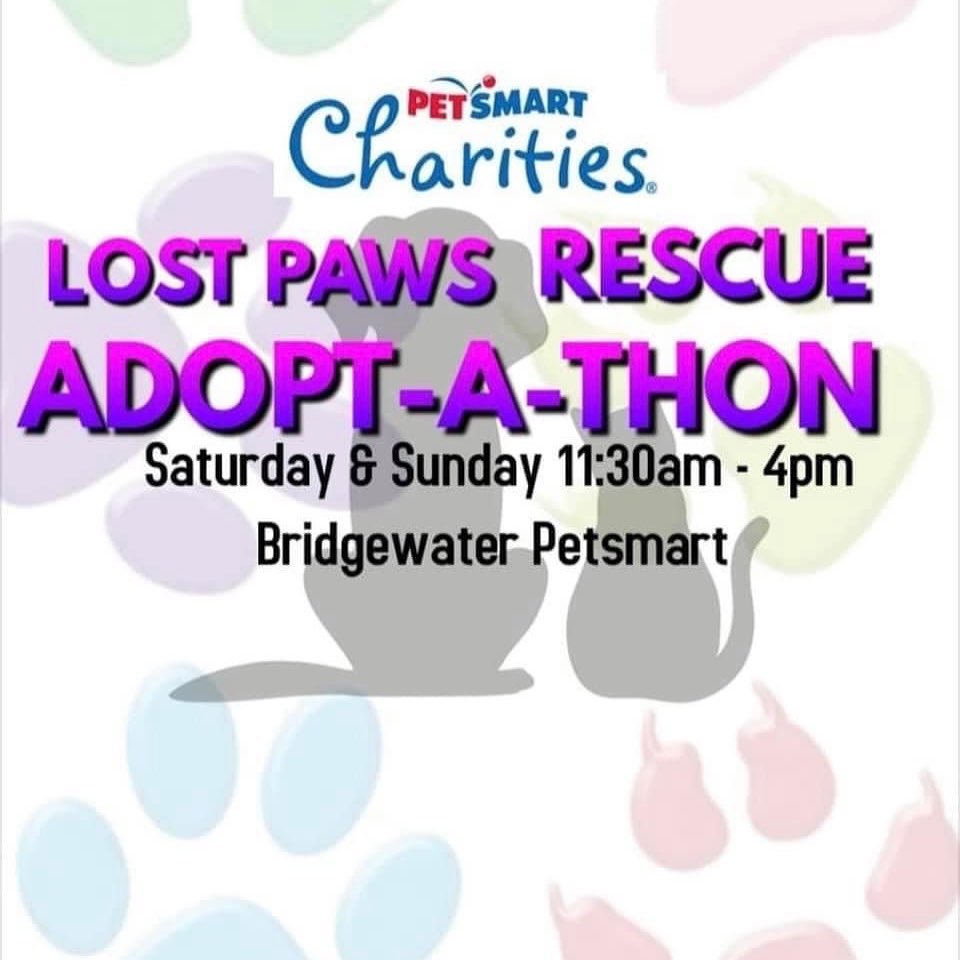 We are excited to partner with @petsmart_bridgewater @petsmartcharities and be a part of the Adopt-A-Thon this coming weekend! Come visit us in the Bridgewater, NJ PetSmart (across from Costco on Promenade Avenue) and meet the wonderful animals we have ready for adoption. <a target='_blank' href='https://www.instagram.com/explore/tags/adoptathon/'>#adoptathon</a> <a target='_blank' href='https://www.instagram.com/explore/tags/adoptdontshop/'>#adoptdontshop</a> <a target='_blank' href='https://www.instagram.com/explore/tags/cats/'>#cats</a> <a target='_blank' href='https://www.instagram.com/explore/tags/kittens/'>#kittens</a> <a target='_blank' href='https://www.instagram.com/explore/tags/puppies/'>#puppies</a> <a target='_blank' href='https://www.instagram.com/explore/tags/nj/'>#nj</a>