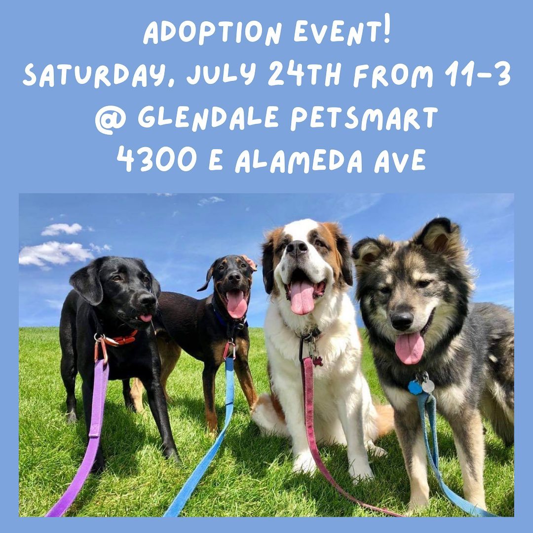 Please share!
Come to our adoption event at the Glendale Petsmart tomorrow, SATURDAY, July 24th from 11-3! We will have some adorable dogs, puppies, and kittens that are looking for their forever homes!