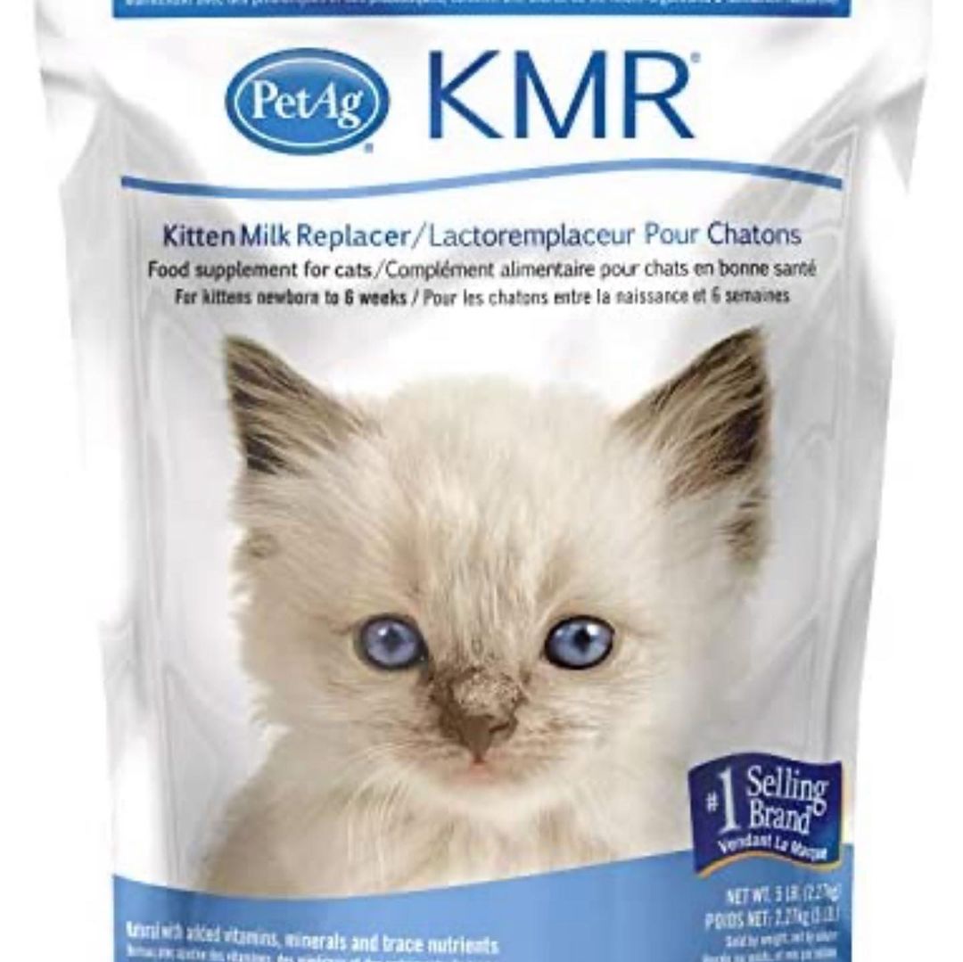 🆘 Hello friends 🆘 we are in need! We’ve been spending sooo much money lately on treating our girl Suniva, TNR and regular surgeries, vaccines and FOOD and litter that our funds have become depleted. These cats are literally eating us out of house and home! We can REALLY use the help! Amazon wishlist link in bio. 

https://www.amazon.com/hz/wishlist/ls/2RZHO3KYCJBCA?ref_=wl_share

If you’d rather donate monetarily, we would gratefully accept the following:

PayPal (2chancekittys@gmail.com); Venmo (@SecondChance-Kitty); and CashApp ($secondchancekitty). If using PayPal, please select the “Friends and Family” option, so we are not assessed a fee.