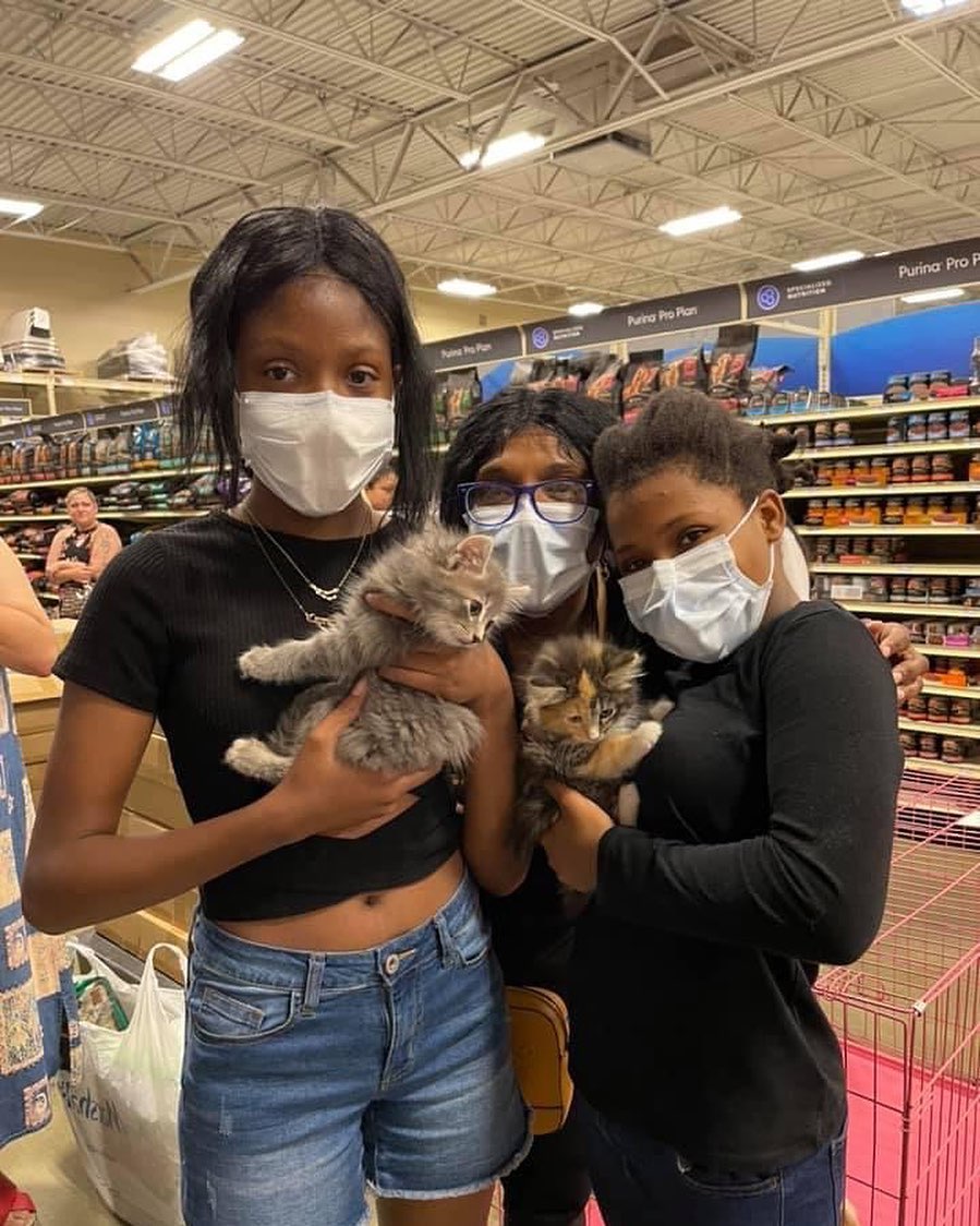 Smokes and TaiTai were adopted together this weekend! 😻😻
<a target='_blank' href='https://www.instagram.com/explore/tags/domesticlonghair/'>#domesticlonghair</a> <a target='_blank' href='https://www.instagram.com/explore/tags/kittensofinstagram/'>#kittensofinstagram</a> <a target='_blank' href='https://www.instagram.com/explore/tags/adoptdontshop/'>#adoptdontshop</a> <a target='_blank' href='https://www.instagram.com/explore/tags/animalrescue/'>#animalrescue</a>