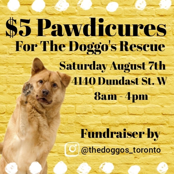 🚨$5 NAIL TRIMS SATURDAY AUGUST 7TH @thedoggos_toronto 
All proceeds go to helping @thedoggosrescue foster dogs.

Here are just a few of the dogs currently in foster care. 
(picture 2. FRITO, picture 3. BEN, picture 4. MARV) 

<a target='_blank' href='https://www.instagram.com/explore/tags/rescuedogs/'>#rescuedogs</a> <a target='_blank' href='https://www.instagram.com/explore/tags/nailtrim/'>#nailtrim</a> <a target='_blank' href='https://www.instagram.com/explore/tags/etobicokedogs/'>#etobicokedogs</a> <a target='_blank' href='https://www.instagram.com/explore/tags/torontodogs/'>#torontodogs</a> <a target='_blank' href='https://www.instagram.com/explore/tags/toronto/'>#toronto</a> <a target='_blank' href='https://www.instagram.com/explore/tags/gta/'>#gta</a> <a target='_blank' href='https://www.instagram.com/explore/tags/dogmom/'>#dogmom</a> <a target='_blank' href='https://www.instagram.com/explore/tags/thedoggos/'>#thedoggos</a> <a target='_blank' href='https://www.instagram.com/explore/tags/thedoggosrescue/'>#thedoggosrescue</a> <a target='_blank' href='https://www.instagram.com/explore/tags/lovedogs/'>#lovedogs</a> <a target='_blank' href='https://www.instagram.com/explore/tags/torontodogs/'>#torontodogs</a> <a target='_blank' href='https://www.instagram.com/explore/tags/pawdicure/'>#pawdicure</a> <a target='_blank' href='https://www.instagram.com/explore/tags/dogs/'>#dogs</a> <a target='_blank' href='https://www.instagram.com/explore/tags/doggosdoingthings/'>#doggosdoingthings</a> <a target='_blank' href='https://www.instagram.com/explore/tags/fundraiser/'>#fundraiser</a>