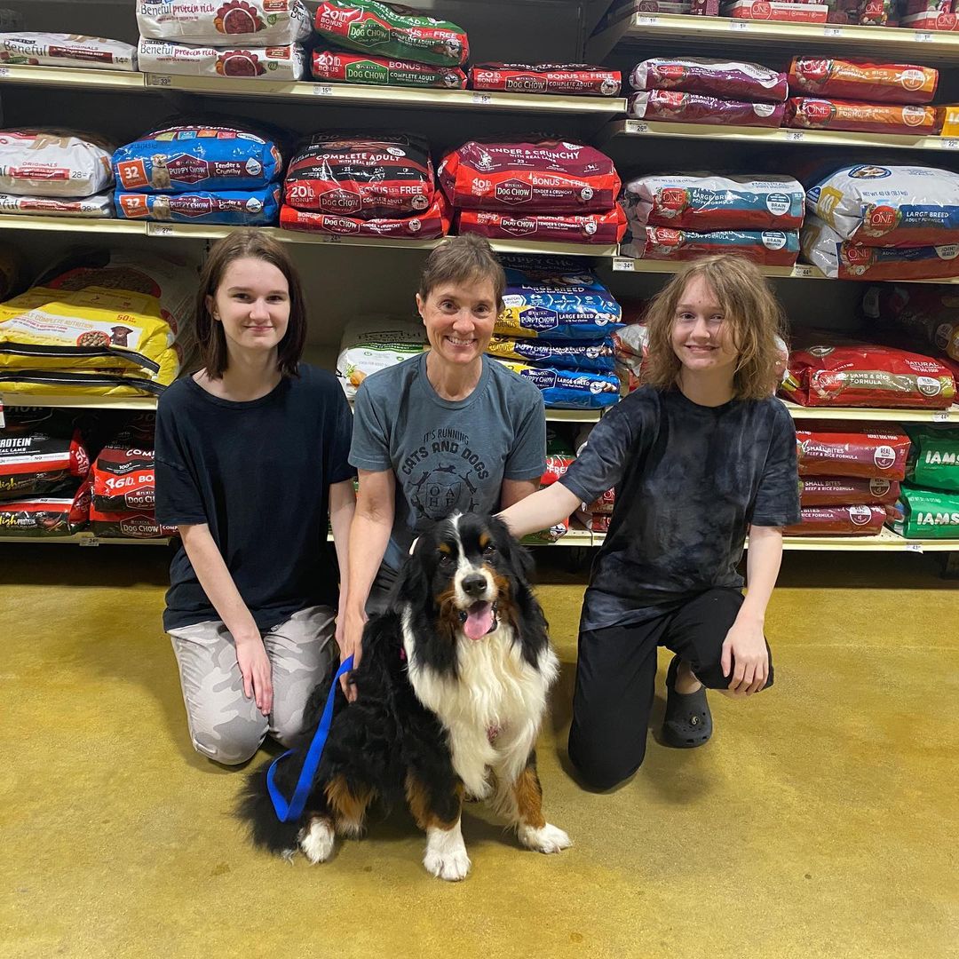 Congratulations to our deserving dogs and their wonderful families on their adoptions the past few weeks 🐶❤️🐾🐾
<a target='_blank' href='https://www.instagram.com/explore/tags/luv4k9s/'>#luv4k9s</a> <a target='_blank' href='https://www.instagram.com/explore/tags/adoptdontshop/'>#adoptdontshop</a> <a target='_blank' href='https://www.instagram.com/explore/tags/welovedogs/'>#welovedogs</a>