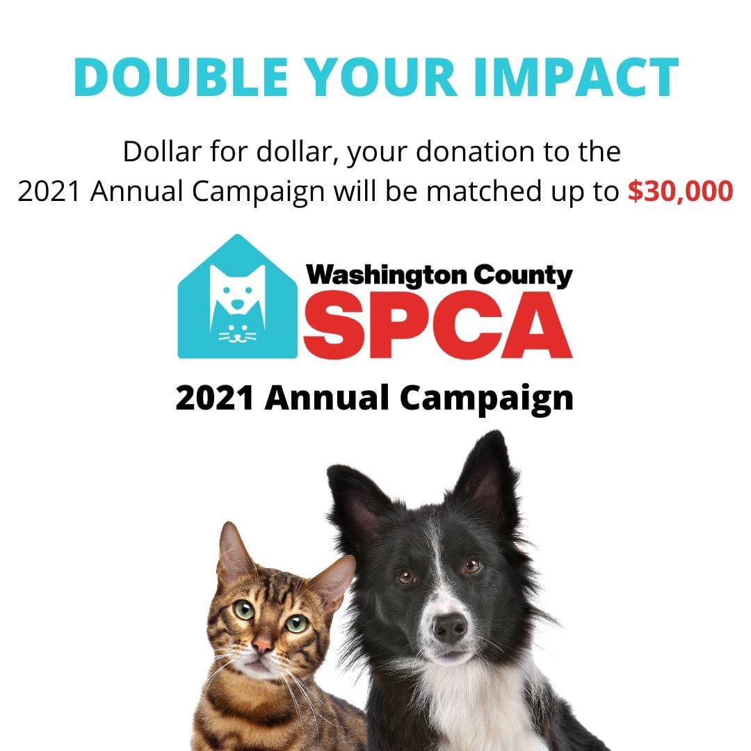 Donate to the 2021 Annual Campaign at wcspca.org/donate and your gift will be matched by one of our amazing, generous supporters!

What does your donation to the Washington County SPCA do?
 
- It provides food, cleaning supplies, caring staff, and a safe place for over 2,500 dogs and cats per year.

- It subsidizes hundreds of spay and neuter surgeries for the animals of low income families and the spay and neuter surgeries of every adopted animal.

- It ensures that every animal in our care receives the vaccines that prevent outbreaks of disease in our community. 

- It pays for medical care when animals come to us sick, injured, and neglected. 

- It means that the Washington County SPCA can continue to avoid euthanizing animals due to lack of space or resources.