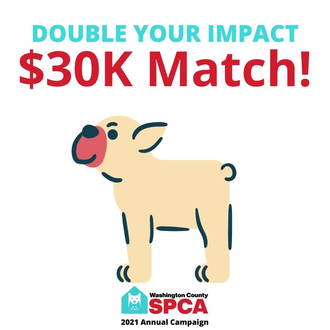 Let's not leave any money on the table! A generous donor has pledged a $30,000 match for our annual campaign. Help us meet their challenge goal. Please don't wait! Make your gift today at wcspca.org/donate!