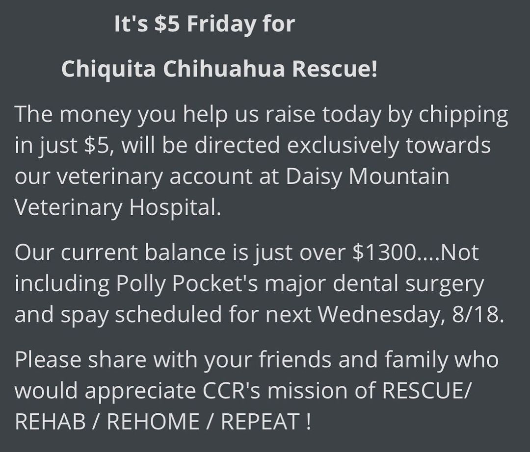 EDIT: goal has been met, thank you all!

$5 Fridays are an easy way to help CCR maintain the ever-present vet bills that come with running a rescue and sanctuary that saves many seniors! Please consider chipping in only $5 and share with your family and friends!
Thank you. ❤️