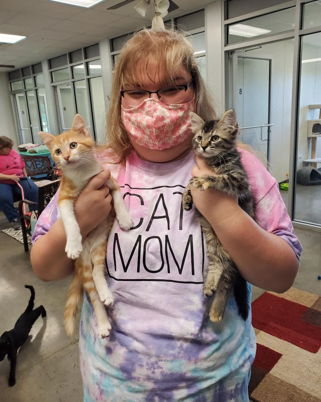 We are so thankful for our recent kitten adoptions! Love & kisses to our kittens in their new forever homes ❤️🐈‍⬛