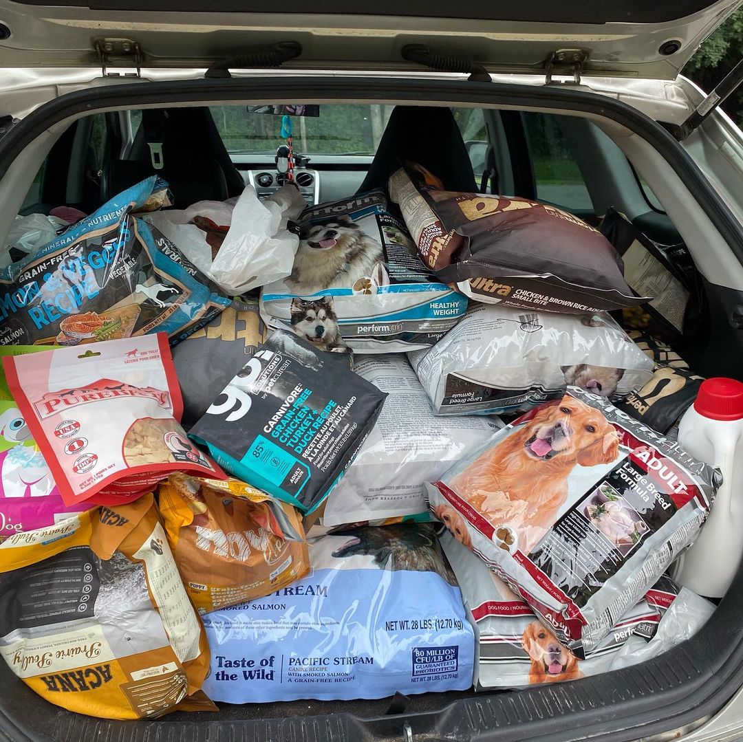 Wow! Thank you so much @paulmacspets in cobourg for all these donations! We are so thankful to be respected and supported by you guys!!! <a target='_blank' href='https://www.instagram.com/explore/tags/adoptdontshop/'>#adoptdontshop</a>