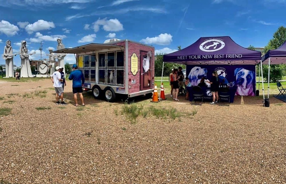 We have adoptable dogs out at 8th Wonder Brewery! It’s just $8 for a vaccinated, fixed, microchipped best friend. We’ll be here until 6:00 p.m.

2202 Dallas Street, HTX

<a target='_blank' href='https://www.instagram.com/explore/tags/8thwonder/'>#8thwonder</a> <a target='_blank' href='https://www.instagram.com/explore/tags/houston/'>#houston</a> <a target='_blank' href='https://www.instagram.com/explore/tags/htx/'>#htx</a> <a target='_blank' href='https://www.instagram.com/explore/tags/hou/'>#hou</a> <a target='_blank' href='https://www.instagram.com/explore/tags/eado/'>#eado</a> <a target='_blank' href='https://www.instagram.com/explore/tags/eadohouston/'>#eadohouston</a> <a target='_blank' href='https://www.instagram.com/explore/tags/eastendhouston/'>#eastendhouston</a> <a target='_blank' href='https://www.instagram.com/explore/tags/shelterdogs/'>#shelterdogs</a> <a target='_blank' href='https://www.instagram.com/explore/tags/adoptme/'>#adoptme</a> <a target='_blank' href='https://www.instagram.com/explore/tags/dogs/'>#dogs</a> <a target='_blank' href='https://www.instagram.com/explore/tags/astros/'>#astros</a> <a target='_blank' href='https://www.instagram.com/explore/tags/astrosbaseball/'>#astrosbaseball</a>