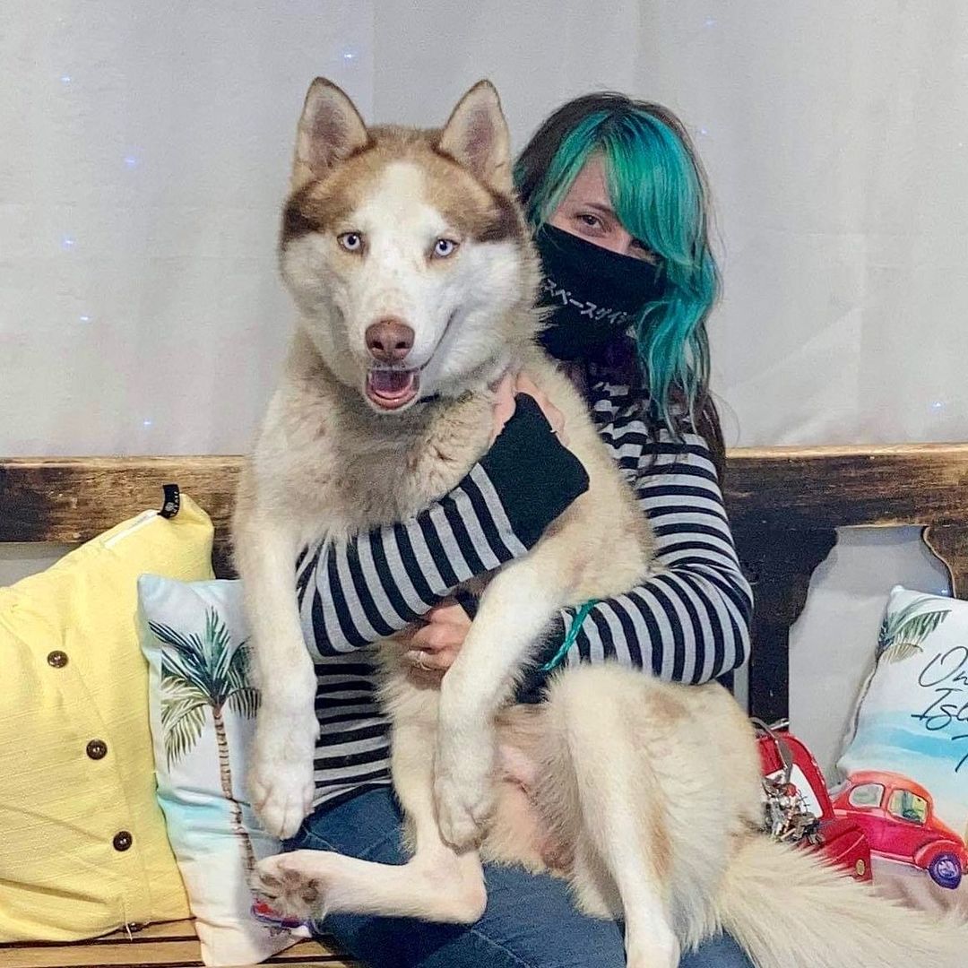 Dreams come true, thanks to you. ❤️

Ryder, the sweetest, gentlest, most loving Husky, found a family today. He was so overjoyed, he insisted on sitting in his new mom’s lap. Just look at that smile! He knows he’s found a forever home.

Thank you so for adopting! Please keep him safe and love him unconditionally, as he will you.

Congratulations! Many happy “tails” to you!

We’re currently at capacity and waiving adoption fees, so if you’re in the market for a best friend, now is THE TIME to visit. See who’s available by visiting www.pasadenashelter.petfinder.com.

Pasadena Adoption Center
5160 Burke Rd
Pasadena TX 77504
713-920-7942
adoptions@pasadenatx.gov
www.pasadenashelter.com

Monday, Wednesday, Friday
11:00 - 5:00 p.m.
Tuesday, Thursday 
11:00 - 6:00 p.m.
Saturday
11:00 - 4:00 p.m.

<a target='_blank' href='https://www.instagram.com/explore/tags/thisishouston/'>#thisishouston</a> <a target='_blank' href='https://www.instagram.com/explore/tags/shelterdogs/'>#shelterdogs</a> <a target='_blank' href='https://www.instagram.com/explore/tags/adoptme/'>#adoptme</a> <a target='_blank' href='https://www.instagram.com/explore/tags/puppies/'>#puppies</a> <a target='_blank' href='https://www.instagram.com/explore/tags/puppy/'>#puppy</a> <a target='_blank' href='https://www.instagram.com/explore/tags/bordercollie/'>#bordercollie</a> <a target='_blank' href='https://www.instagram.com/explore/tags/husky/'>#husky</a> <a target='_blank' href='https://www.instagram.com/explore/tags/germanshepherd/'>#germanshepherd</a> <a target='_blank' href='https://www.instagram.com/explore/tags/pittie/'>#pittie</a> <a target='_blank' href='https://www.instagram.com/explore/tags/lab/'>#lab</a> <a target='_blank' href='https://www.instagram.com/explore/tags/retriever/'>#retriever</a>  <a target='_blank' href='https://www.instagram.com/explore/tags/goldenretriever/'>#goldenretriever</a> <a target='_blank' href='https://www.instagram.com/explore/tags/cattledog/'>#cattledog</a> <a target='_blank' href='https://www.instagram.com/explore/tags/chowchow/'>#chowchow</a> <a target='_blank' href='https://www.instagram.com/explore/tags/houston/'>#houston</a> <a target='_blank' href='https://www.instagram.com/explore/tags/htx/'>#htx</a> <a target='_blank' href='https://www.instagram.com/explore/tags/pasadenatx/'>#pasadenatx</a> <a target='_blank' href='https://www.instagram.com/explore/tags/huskylife/'>#huskylife</a> <a target='_blank' href='https://www.instagram.com/explore/tags/huskylove/'>#huskylove</a> <a target='_blank' href='https://www.instagram.com/explore/tags/shelterdogsrock/'>#shelterdogsrock</a> <a target='_blank' href='https://www.instagram.com/explore/tags/hou/'>#hou</a> <a target='_blank' href='https://www.instagram.com/explore/tags/joy/'>#joy</a> <a target='_blank' href='https://www.instagram.com/explore/tags/bestfriend/'>#bestfriend</a>