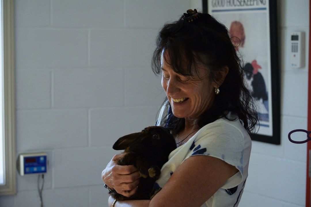 Kristi has adopted a brother for her bunny at home! This is Musketeer and he has been getting along fabulously with Macchiato at home! If you are thinking of taking a bunny rabbit into your home, please give us a call at (208) 756-4100. We are sure that more will be adoptable soon!
