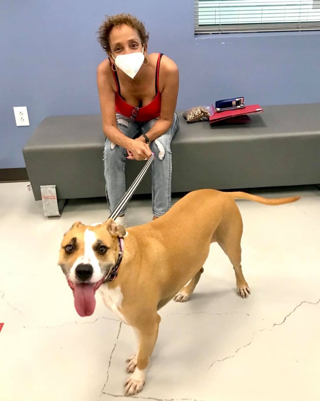 ADOPTED SATURDAY

Autumn was adopted yesterday! She had been with since November and we’re so happy to see her finally find her new family! Congratulations and we wish you the best!