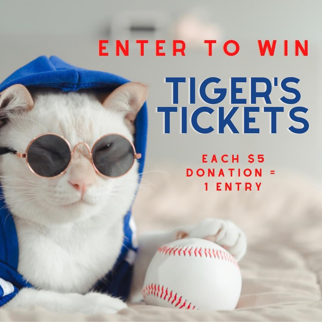 Take meowt to the ball game… 😻 

The Ferndale Cat Shelter is giving away two pairs of tickets to the Wednesday, September 1 Tiger's game against the Oakland A’s.  The event will include food and a great time!

Enter by making a $5 donation for an entry to win.  You can make multiple entries in denominations of 5 (ex. a $25 donation gets you 5 entries)

Last day to enter is Friday, August 27, with a winner drawn and announced on Saturday, August 28.

Donations can be made here: https://ferndalecatshelter.org/donate/

Support Paws by Donating to the Claws!