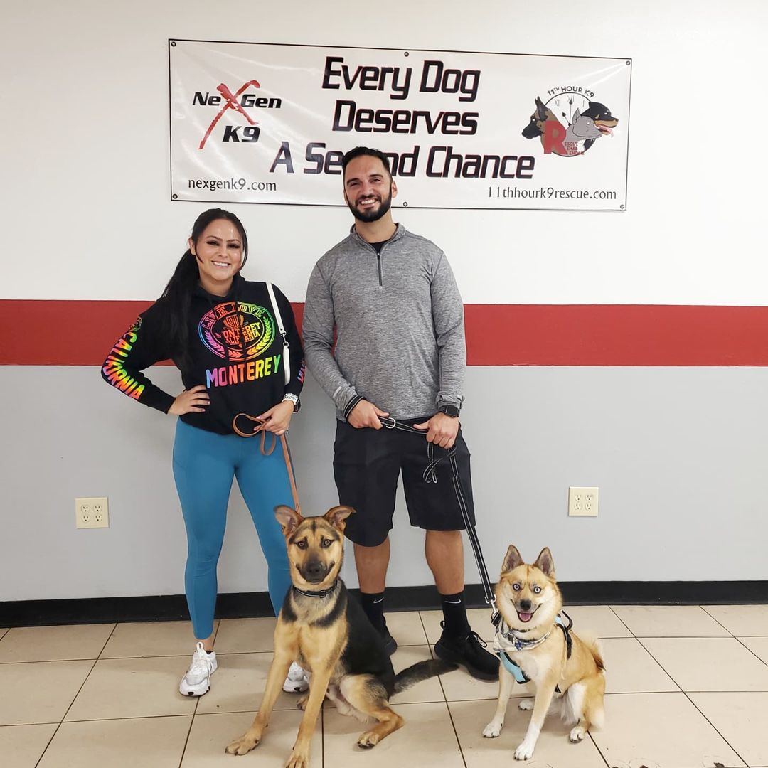 This happy boy found his forever home! 

Pictured, <a target='_blank' href='https://www.instagram.com/explore/tags/11thHourK9Pineapple/'>#11thHourK9Pineapple</a> and his new family🥰

〰️❌〰️❌〰️❌〰️❌〰️❌〰️❌〰️❌〰️

                      🐶 11th Hour K9 
                Rescue Rehab Rehome 🐶

Our Mission

11th Hour K9 Rescue Rehab Rehome is a non-profit organization committed to providing dogs in desperate situations with a final chance at a permanent home. We specialize in rehabilitating dogs with challenging behavior issues most shelters and rescues do not have the resources or expertise to manage. For many, we are the last hope.

⚠️IF YOU ARE INTERESTED IN ADOPTING ANY OF OUR DOGS, PLEASE COMPLETE OUR ADOPTION INQUIRY FORM ON OUR WEBSITE 11THHOURK9RESCUE.COM ⚠️

📞 Samantha - (707) 654-9922
📞 Rob - (415) 496-9787
📩 Email - info@11thhourk9rescue.com 
💻 Website - 11thhourk9rescue.com 
--------------------------------------------------------------------