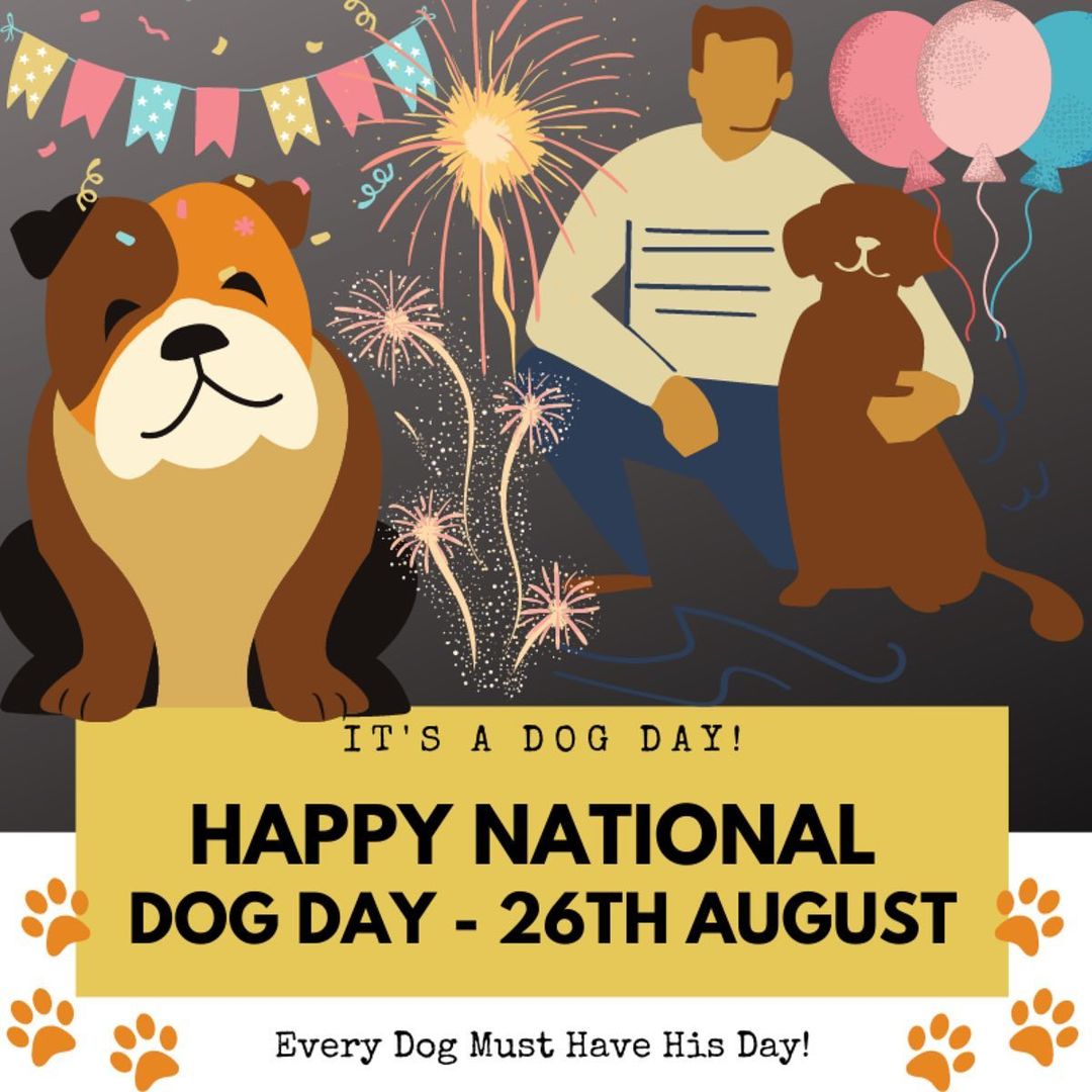 It’s National Dog Day —- There are many ways to celebrate, but the most important thing is to raise awareness about all of the wonderful pets currently languishing or “at risk” in shelters in every town, city, and county across the country. 🙏 Please, please - if you have been considering fostering or adopting, NOW is the time. The shelters are overflowing due to the Covid protections being lifted and people losing their homes. These wonderful pets are counting on us. ￼￼ Please message us if you are interested in fostering or adopting, or visit your local shelter especially this week during national “clear the shelters week”!￼ ❤️🐾 <a target='_blank' href='https://www.instagram.com/explore/tags/nationaldogday/'>#nationaldogday</a> <a target='_blank' href='https://www.instagram.com/explore/tags/nationaldogday/'>#nationaldogday</a>🐶