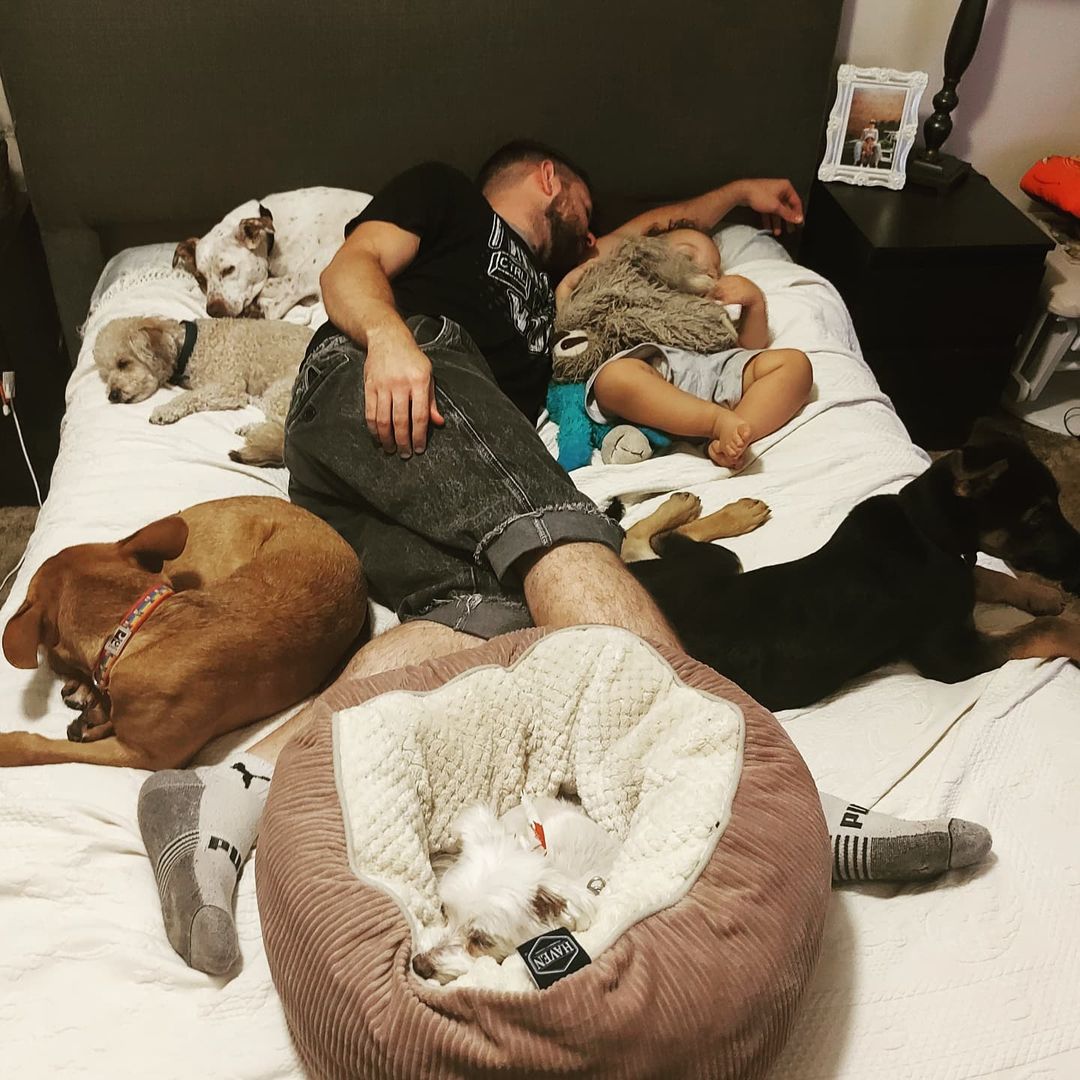 When all the babies need snuggles on a rainy day. ❤ 

<a target='_blank' href='https://www.instagram.com/explore/tags/thedoggos/'>#thedoggos</a> <a target='_blank' href='https://www.instagram.com/explore/tags/thedoggosrescue/'>#thedoggosrescue</a> <a target='_blank' href='https://www.instagram.com/explore/tags/doggosdoingthings/'>#doggosdoingthings</a> <a target='_blank' href='https://www.instagram.com/explore/tags/boarding/'>#boarding</a> <a target='_blank' href='https://www.instagram.com/explore/tags/dogs/'>#dogs</a> <a target='_blank' href='https://www.instagram.com/explore/tags/dogsofinstagram/'>#dogsofinstagram</a> <a target='_blank' href='https://www.instagram.com/explore/tags/lovedogs/'>#lovedogs</a> <a target='_blank' href='https://www.instagram.com/explore/tags/snuggles/'>#snuggles</a> <a target='_blank' href='https://www.instagram.com/explore/tags/ilovemyjob/'>#ilovemyjob</a> <a target='_blank' href='https://www.instagram.com/explore/tags/rescuedogs/'>#rescuedogs</a> <a target='_blank' href='https://www.instagram.com/explore/tags/dogsarefamily/'>#dogsarefamily</a> <a target='_blank' href='https://www.instagram.com/explore/tags/doglife/'>#doglife</a>