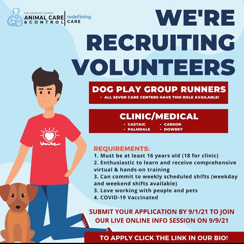 WE'RE RECRUITING VOLUNTEERS! 

Break a sweat and get in your steps with our high-energy dog play group activities. Learn and explore medical responsibilities of shelter medicine. Our Care Centers can help with both!
 
We are currently looking to add committed volunteers as Dog Play Group Runners and Clinic/Medical support to our Care Center teams. These scheduled positions are an ideal way to be of service to your community and the animals in our care. Please note that current available volunteer roles vary per Care Center. For more information, please join us Thursday, September 9 at 6 pm for an information session - apply via the link in bio to receive your meeting invitation!

<a target='_blank' href='https://www.instagram.com/explore/tags/daccares/'>#daccares</a> <a target='_blank' href='https://www.instagram.com/explore/tags/volunteer/'>#volunteer</a> <a target='_blank' href='https://www.instagram.com/explore/tags/playgroup/'>#playgroup</a> <a target='_blank' href='https://www.instagram.com/explore/tags/sheltermedicine/'>#sheltermedicine</a> <a target='_blank' href='https://www.instagram.com/explore/tags/beofservice/'>#beofservice</a> <a target='_blank' href='https://www.instagram.com/explore/tags/fortheloveofanimals/'>#fortheloveofanimals</a>