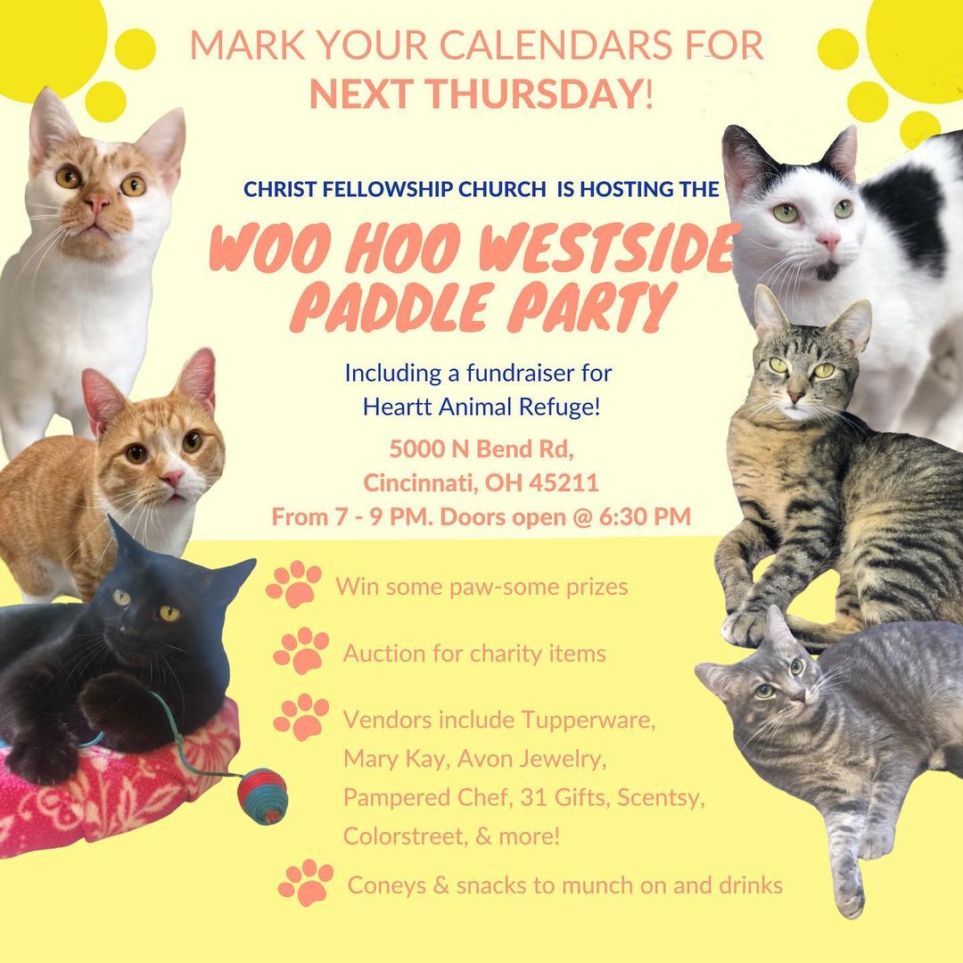 Who's ready for another fundraising event supporting our favorite kitties?! 🤚 🤚🤚
Christ Fellowship Church has chosen Heartt as the charity of choice for their Woo Hoo Westside Paddle Party! Come out & help support a great cause! Details below 🐾 
・
・
🐾 Where/When? 🐾 5000 N Bend Rd, Cincinnati, OH
Doors open at 6:30pm. From 7-9pm.
🐾 What? 🐾 
- Multiple raffle baskets to win and will sell chances for these items at 1.00 each, 6/5.00, or 15/10.00
- Auction: there will be 4 auction rounds and we will start each round with a charity item and end each round with a charity item
- Vendors include Tupperware, Jennifer's Thumbprint Designs, Basketcase, Mary Kay, Heart House, Avon, Avon Jewelry, Pampered Chef, 31 Gifts, Scenty, Colorstreet, Norwex and more
- Drinks, coneys and snacks are available for purchase. Paddles are 2.00 ea. or 4/$5.0

See you there! 😼
________________________________________
<a target='_blank' href='https://www.instagram.com/explore/tags/adoptdontshop/'>#adoptdontshop</a> <a target='_blank' href='https://www.instagram.com/explore/tags/animalrefuge/'>#animalrefuge</a> <a target='_blank' href='https://www.instagram.com/explore/tags/nonprofit/'>#nonprofit</a> <a target='_blank' href='https://www.instagram.com/explore/tags/cincinnatioh/'>#cincinnatioh</a> <a target='_blank' href='https://www.instagram.com/explore/tags/hearttanimalrefuge/'>#hearttanimalrefuge</a> <a target='_blank' href='https://www.instagram.com/explore/tags/catsagram/'>#catsagram</a> <a target='_blank' href='https://www.instagram.com/explore/tags/cincinnatianimaladoption/'>#cincinnatianimaladoption</a> <a target='_blank' href='https://www.instagram.com/explore/tags/rescuecatsofinstagram/'>#rescuecatsofinstagram</a> <a target='_blank' href='https://www.instagram.com/explore/tags/thebeautyofcats/'>#thebeautyofcats</a> <a target='_blank' href='https://www.instagram.com/explore/tags/blackcatsofinstagram/'>#blackcatsofinstagram</a> <a target='_blank' href='https://www.instagram.com/explore/tags/kittensofinstagram/'>#kittensofinstagram</a> <a target='_blank' href='https://www.instagram.com/explore/tags/dogsofinstagram/'>#dogsofinstagram</a> <a target='_blank' href='https://www.instagram.com/explore/tags/westsidecincinnati/'>#westsidecincinnati</a>