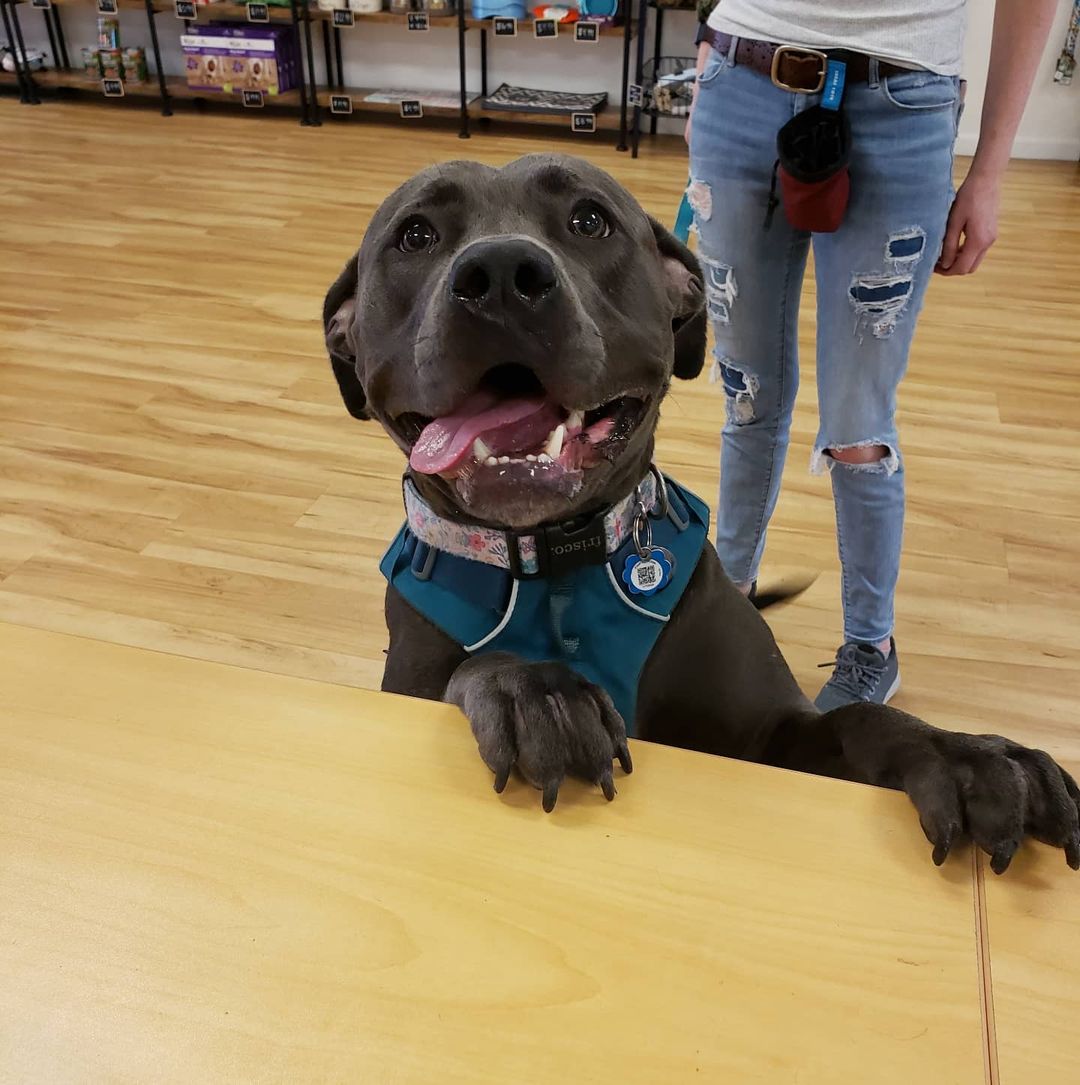 Alumni Sadie came into the store today to say 