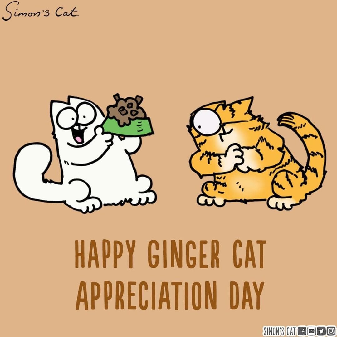 Show us your ginger cats!