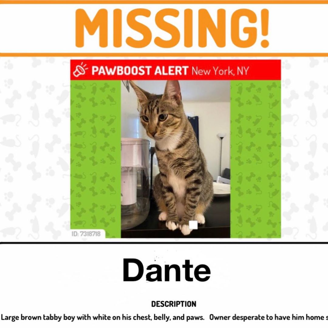 The search for Dante continues!

We are asking volunteers to meet at the Maine Monument (near Columbus Circle) on Monday 9/6/21 from 2:00pm to 4:00pm

We will be posting signs in as wide an area as possible, depending on the number of volunteers participating. 

Please ask anyone interested to reply to Dantecomehome@gmail.com.

Thank you.