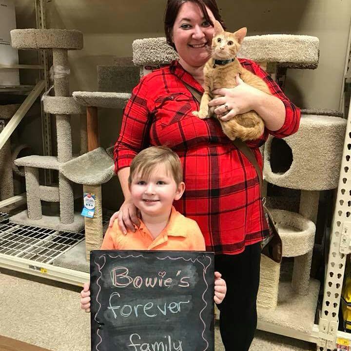 Hello everyone! Hope everyone had a GREAT Thanksgiving! We had 3 wonderful adoptions this weekend. Meow Meow, Simba and Bowie went to their new forever homes. Have great lives, kitties!