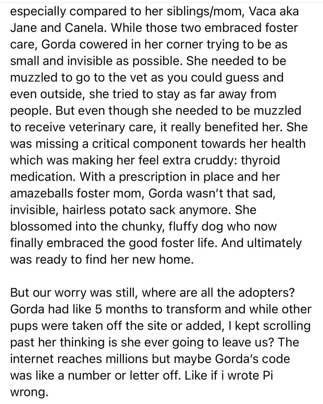 Every dog should have their Gotcha Day documented because in 20 years, that dog is most likely not going to be around and that’s the saddest part. Dogs be relying on you to capture their lives.
.
.
.
<a target='_blank' href='https://www.instagram.com/explore/tags/truth/'>#truth</a> <a target='_blank' href='https://www.instagram.com/explore/tags/truelove/'>#truelove</a> <a target='_blank' href='https://www.instagram.com/explore/tags/truestory/'>#truestory</a> <a target='_blank' href='https://www.instagram.com/explore/tags/gorda/'>#gorda</a> <a target='_blank' href='https://www.instagram.com/explore/tags/gotchaday/'>#gotchaday</a> <a target='_blank' href='https://www.instagram.com/explore/tags/gotcha/'>#gotcha</a> <a target='_blank' href='https://www.instagram.com/explore/tags/gotchadayanniversary/'>#gotchadayanniversary</a> <a target='_blank' href='https://www.instagram.com/explore/tags/july/'>#july</a> <a target='_blank' href='https://www.instagram.com/explore/tags/september/'>#september</a> <a target='_blank' href='https://www.instagram.com/explore/tags/dogs/'>#dogs</a> <a target='_blank' href='https://www.instagram.com/explore/tags/dogsofinstagram/'>#dogsofinstagram</a> <a target='_blank' href='https://www.instagram.com/explore/tags/dogsofinsta/'>#dogsofinsta</a> <a target='_blank' href='https://www.instagram.com/explore/tags/rescuedogsofinstagram/'>#rescuedogsofinstagram</a> <a target='_blank' href='https://www.instagram.com/explore/tags/rescuesofinstagram/'>#rescuesofinstagram</a> <a target='_blank' href='https://www.instagram.com/explore/tags/muttsofinstagram/'>#muttsofinstagram</a> <a target='_blank' href='https://www.instagram.com/explore/tags/mutt/'>#mutt</a> <a target='_blank' href='https://www.instagram.com/explore/tags/fluffy/'>#fluffy</a> <a target='_blank' href='https://www.instagram.com/explore/tags/adopteddogs/'>#adopteddogs</a> <a target='_blank' href='https://www.instagram.com/explore/tags/adopteddogsofinstagram/'>#adopteddogsofinstagram</a> <a target='_blank' href='https://www.instagram.com/explore/tags/yass/'>#yass</a> <a target='_blank' href='https://www.instagram.com/explore/tags/congrats/'>#congrats</a>