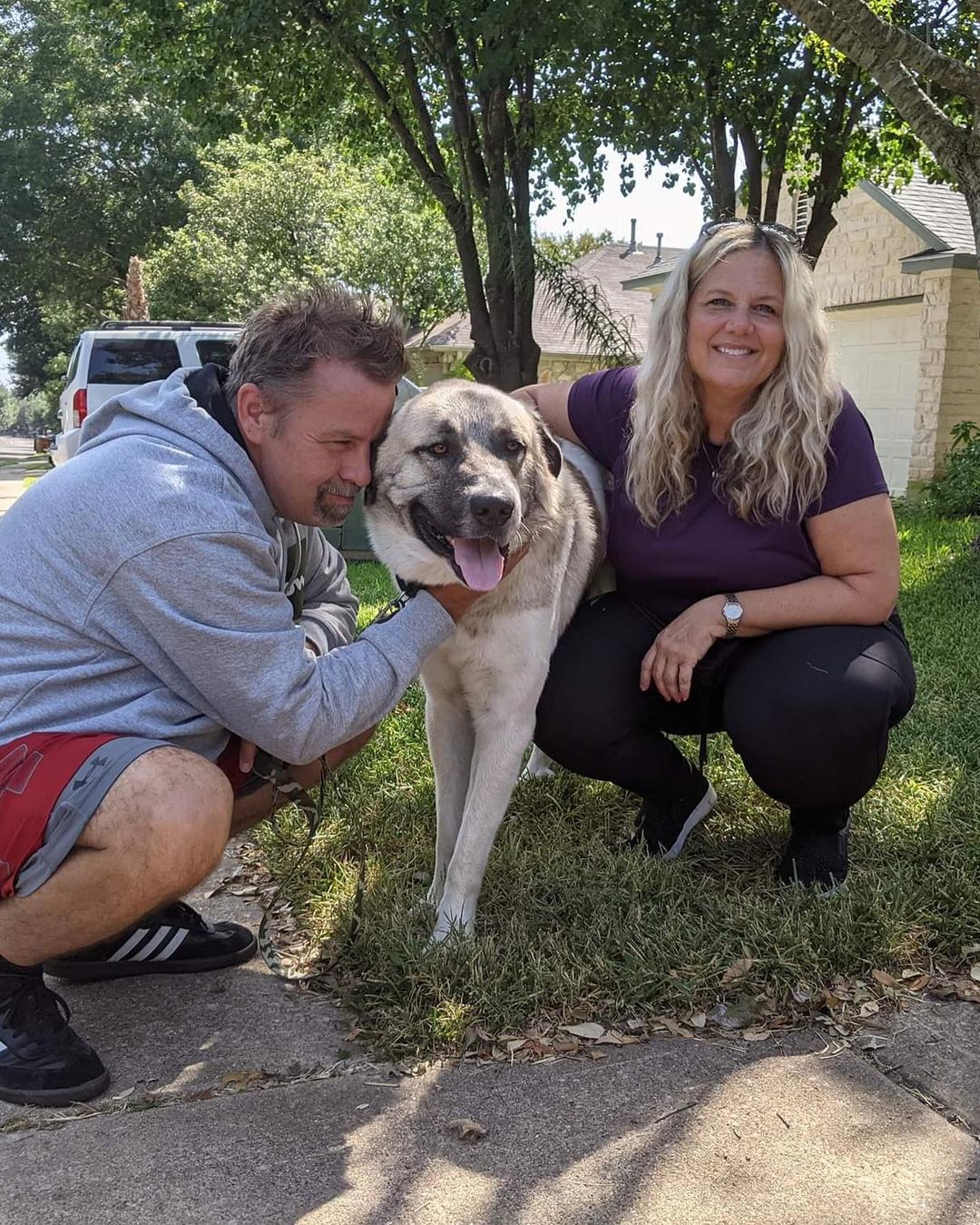 Some of our favorite adoption photos from the last week!

We can’t do it without our awesome fosters and adopters!

Did you know we also adopt out of state? Three puppies from the surreal 7 litter went to different states and were happy to accommodate out of state adopters!

<a target='_blank' href='https://www.instagram.com/explore/tags/adoptdontshop/'>#adoptdontshop</a>