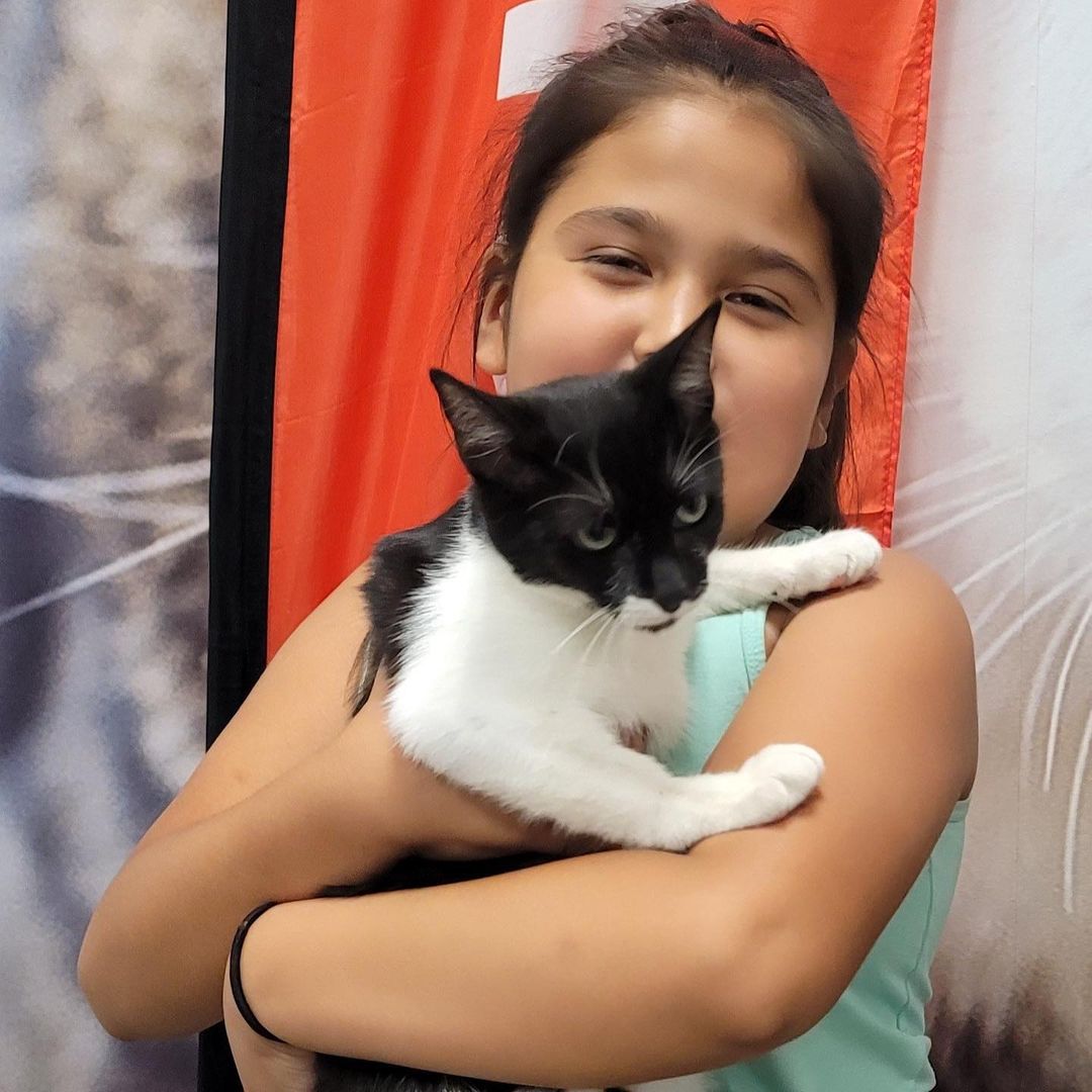 Happy Adoption Days to these sweet siblings we pulled from the Stockton animal shelter who were quite ill with upper respiratory infections. All fixed up and ready to begin their lives! Congratulations Chet and Bonnie Raitt!!