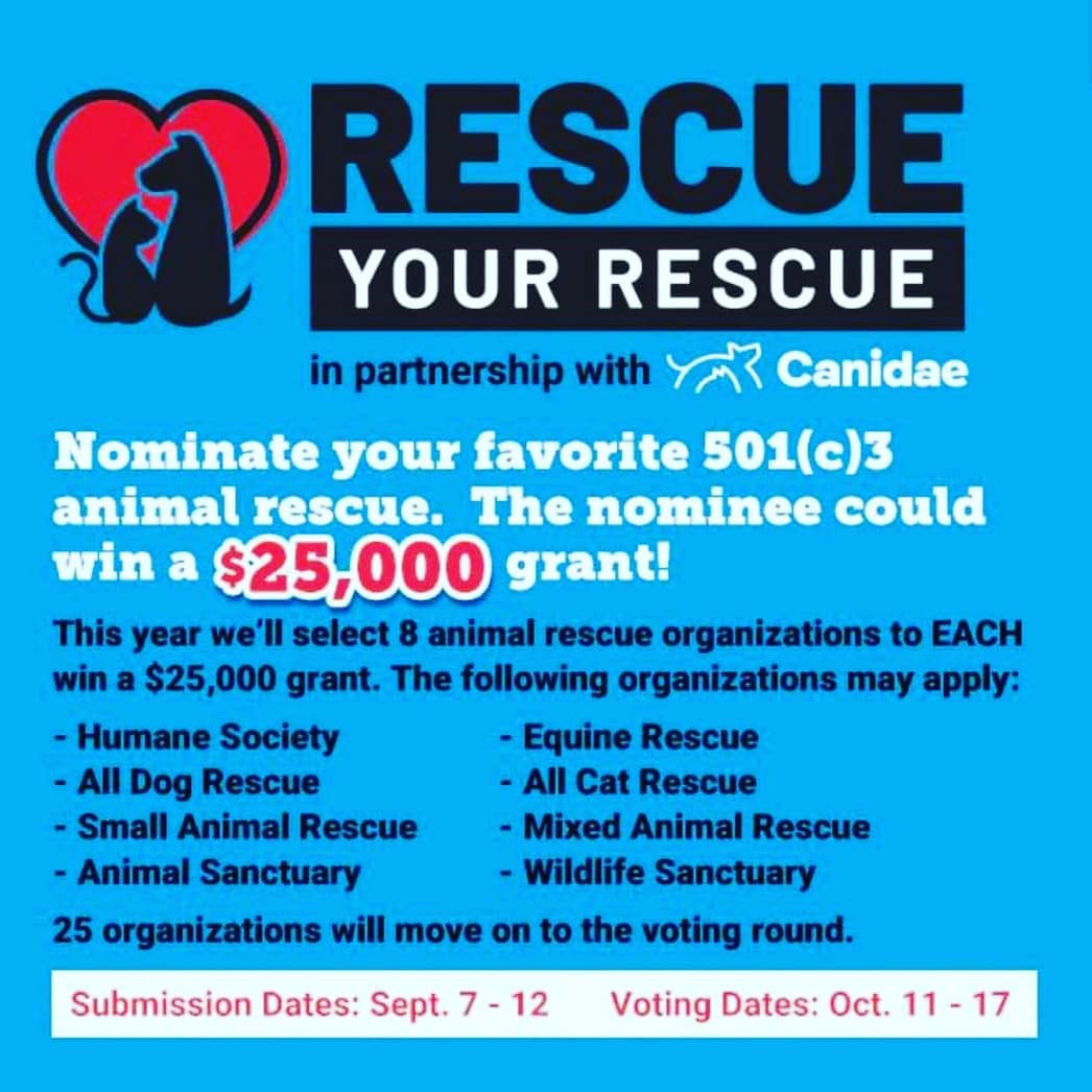 PLEASE WE NEED YOUR SUPPORT 🙏 ❤ 

We are going to let you in on a little secret that has been in the works for 2.5 years now. WE ARE EXPANDING!! What does that mean you may ask? We will have the space to save more at risk lives from death row. 

But here is the thing. We found the almost perfect property... we just need to build out the dog area. 

This grant could really help to getting this started. Please take just a few minutes to go nominate our rescue! @11thhourk9 

(The link is in our bio)

https://www.tractorsupply.com/tsc/cms/rescueyourrescue?fbclid=IwAR2zjgtXnFJCpXKrFZjMnpnSgzIiXOa2Kj0EyE8eIUTKezS8IAsRl64KpHQ