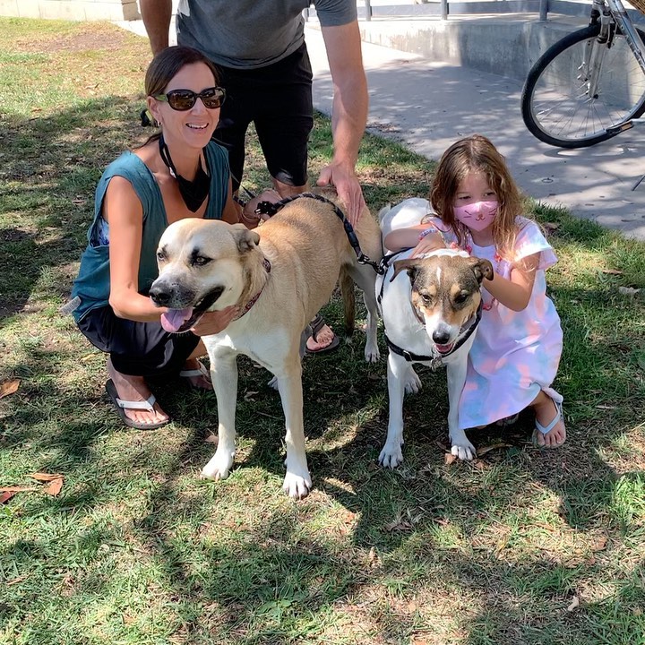 Nash & Daisy sitting in a tree, S-M-I-L-I-N-G! Nash is so happy to have a new friend and family- <a target='_blank' href='https://www.instagram.com/explore/tags/adoptionrules/'>#adoptionrules</a>