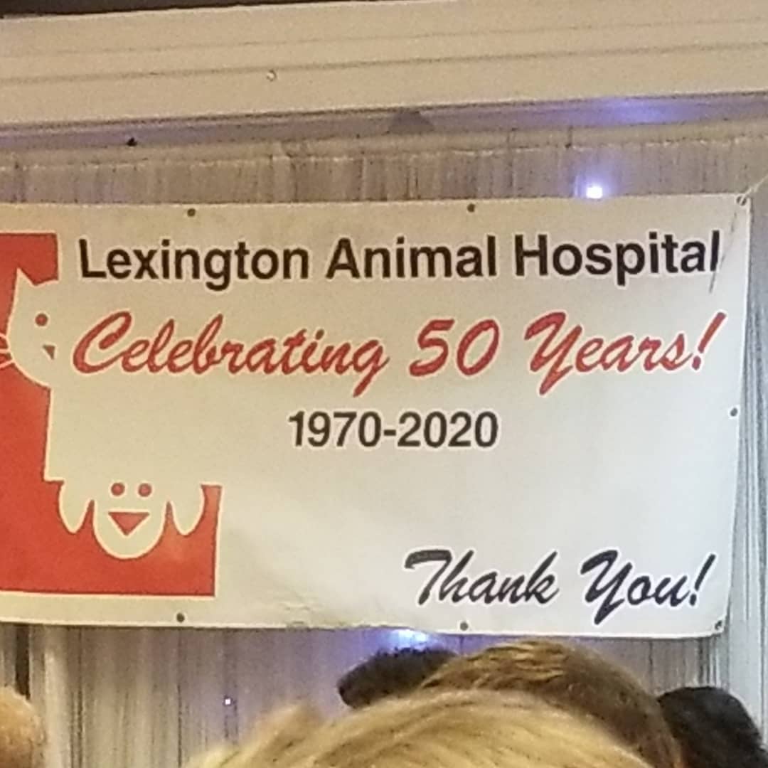 Celebrating  50 + years  with our  amazing  vet Dr. Orange  his love for the animals  and his passion  to mentor many of us has  a profound impact  on our rescue and the lives he has touched and saved.. Bravo Doc we love you cheers to 50 more years