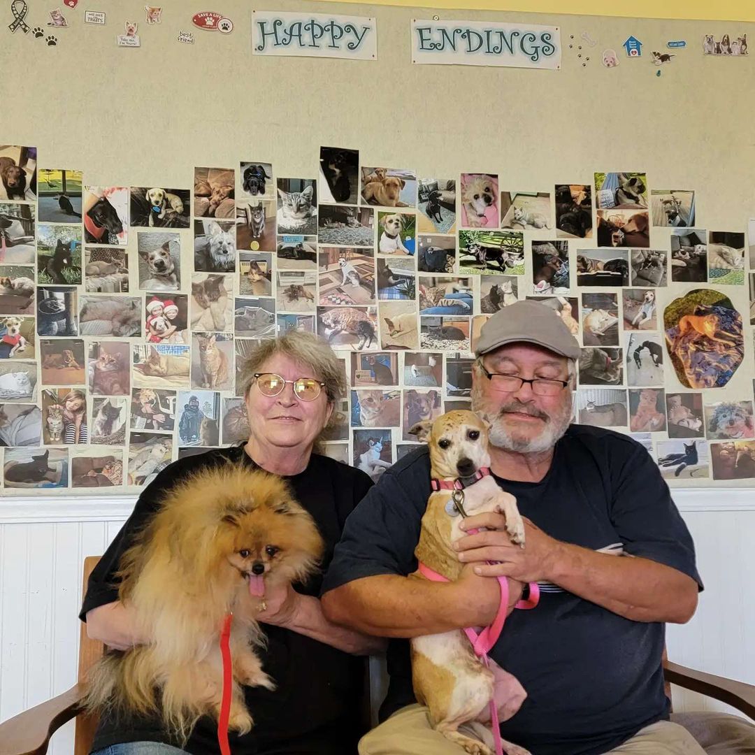 Penny is now a part of a happy furever family!!

<a target='_blank' href='https://www.instagram.com/explore/tags/fureverhome/'>#fureverhome</a> <a target='_blank' href='https://www.instagram.com/explore/tags/adoption/'>#adoption</a> <a target='_blank' href='https://www.instagram.com/explore/tags/petadoption/'>#petadoption</a> <a target='_blank' href='https://www.instagram.com/explore/tags/seniordog/'>#seniordog</a> <a target='_blank' href='https://www.instagram.com/explore/tags/shelterdog/'>#shelterdog</a> <a target='_blank' href='https://www.instagram.com/explore/tags/adoptdontshop/'>#adoptdontshop</a> <a target='_blank' href='https://www.instagram.com/explore/tags/goinghome/'>#goinghome</a>