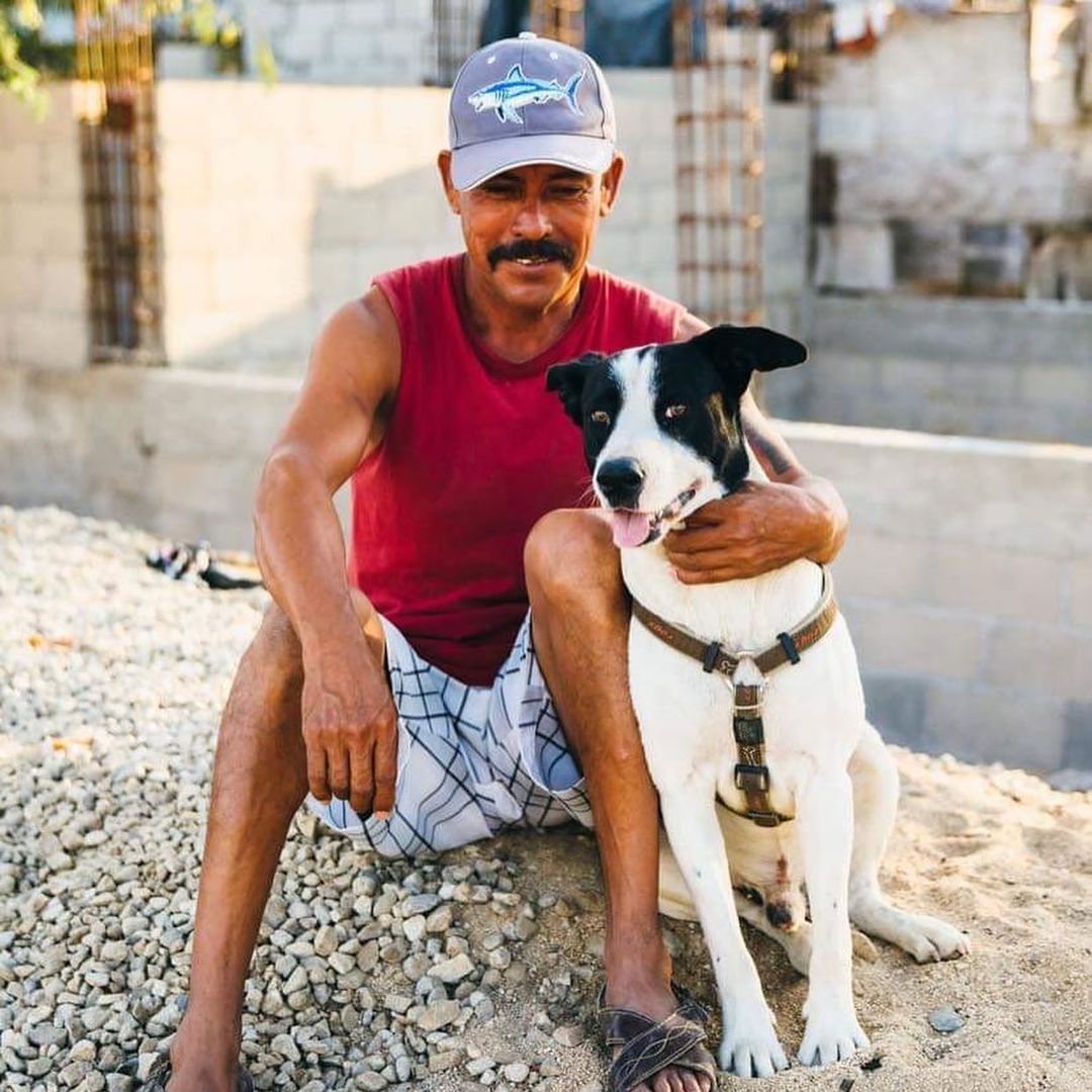 Take a look at all these beautiful faces! All of them live in a very small village within Cabo San Lucas, MX and can certainly use our help. 
My friend, @marcitaserrano , holds a paella and fundraiser for the people there every 6 months and she plans to do another on September 20th. @muttsandruntsrescue wants to help. We want to raise enough money to bring dog food and hire a mobile vet to head out and give exams to the dogs there. We also want to raise funds for the following items: 

-socks, underwear (personal care items)
-toiletries
-pantry items
-towels, sheets, blankets

I have a short window to raise funds, but I have an amazing offer. @marlin5401 , the CEO of @arrc_technology and @chartec_ ®, has agreed to match your donation to this amazing cause. 

On Monday, September 20th, we will go live with these beautiful souls so you can see first hand where your contributions went too. 
You can donate through the following channels.
Venmo: @muttsandrunts 
Paypal: brandi0321@gmail.com (send as a friend or family

Anything will help them and I promise to use your donations wisely. ❤️ 
Thank you 🙏🏼 in advance
To all my rescue friends, if you want to rescue a cabo dog, please let me know. Not one has ever been aggressive and all have been affectionate and loving

Photo credit to @irishandcameron_photosbythesea