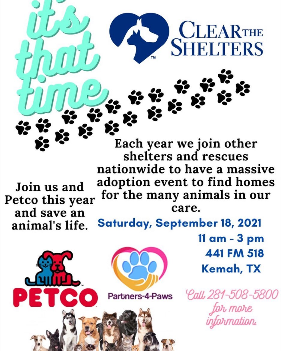 Today is CLEAR THE SHELTERS DAY!!!😁
Join us today at Petco, 441 FM 518 in Kemah, Texas from 11-3pm. We will have some of our animals currently in foster available for adoption. Help one, help all! Adopt today, adoption fees have been waived to only $50. 

Want to become a volunteer, foster, or adopt❔❔❔
Click the link in bio to go to our website! ⬇️⬇️⬇️

Partners-4-Paws
2900 Dickinson Avenue, suite c, Dickinson Texas 77539
Contact our president, Sandi ↙️
Info@partners-4-paws.org
•
•
•

<a target='_blank' href='https://www.instagram.com/explore/tags/animalrescue/'>#animalrescue</a> <a target='_blank' href='https://www.instagram.com/explore/tags/adoptdontshop/'>#adoptdontshop</a> <a target='_blank' href='https://www.instagram.com/explore/tags/rescue/'>#rescue</a> <a target='_blank' href='https://www.instagram.com/explore/tags/animals/'>#animals</a> <a target='_blank' href='https://www.instagram.com/explore/tags/animallovers/'>#animallovers</a> <a target='_blank' href='https://www.instagram.com/explore/tags/animalrights/'>#animalrights</a> <a target='_blank' href='https://www.instagram.com/explore/tags/foster/'>#foster</a> <a target='_blank' href='https://www.instagram.com/explore/tags/cats/'>#cats</a> <a target='_blank' href='https://www.instagram.com/explore/tags/dogsofinstagram/'>#dogsofinstagram</a> <a target='_blank' href='https://www.instagram.com/explore/tags/dogs/'>#dogs</a> <a target='_blank' href='https://www.instagram.com/explore/tags/dog/'>#dog</a> <a target='_blank' href='https://www.instagram.com/explore/tags/catsofinstagram/'>#catsofinstagram</a> <a target='_blank' href='https://www.instagram.com/explore/tags/animallover/'>#animallover</a> <a target='_blank' href='https://www.instagram.com/explore/tags/love/'>#love</a> <a target='_blank' href='https://www.instagram.com/explore/tags/donations/'>#donations</a> <a target='_blank' href='https://www.instagram.com/explore/tags/animalshelter/'>#animalshelter</a> <a target='_blank' href='https://www.instagram.com/explore/tags/animalwelfare/'>#animalwelfare</a> <a target='_blank' href='https://www.instagram.com/explore/tags/animal/'>#animal</a> <a target='_blank' href='https://www.instagram.com/explore/tags/dogrescue/'>#dogrescue</a> <a target='_blank' href='https://www.instagram.com/explore/tags/supportlocalrescue/'>#supportlocalrescue</a> <a target='_blank' href='https://www.instagram.com/explore/tags/rescuedog/'>#rescuedog</a> <a target='_blank' href='https://www.instagram.com/explore/tags/cat/'>#cat</a> <a target='_blank' href='https://www.instagram.com/explore/tags/saveanimals/'>#saveanimals</a>  <a target='_blank' href='https://www.instagram.com/explore/tags/adoptionevent/'>#adoptionevent</a> <a target='_blank' href='https://www.instagram.com/explore/tags/pets/'>#pets</a> <a target='_blank' href='https://www.instagram.com/explore/tags/fosteringsaveslives/'>#fosteringsaveslives</a> <a target='_blank' href='https://www.instagram.com/explore/tags/kittens/'>#kittens</a> <a target='_blank' href='https://www.instagram.com/explore/tags/doglover/'>#doglover</a> <a target='_blank' href='https://www.instagram.com/explore/tags/kitten/'>#kitten</a> <a target='_blank' href='https://www.instagram.com/explore/tags/partners4paws/'>#partners4paws</a>