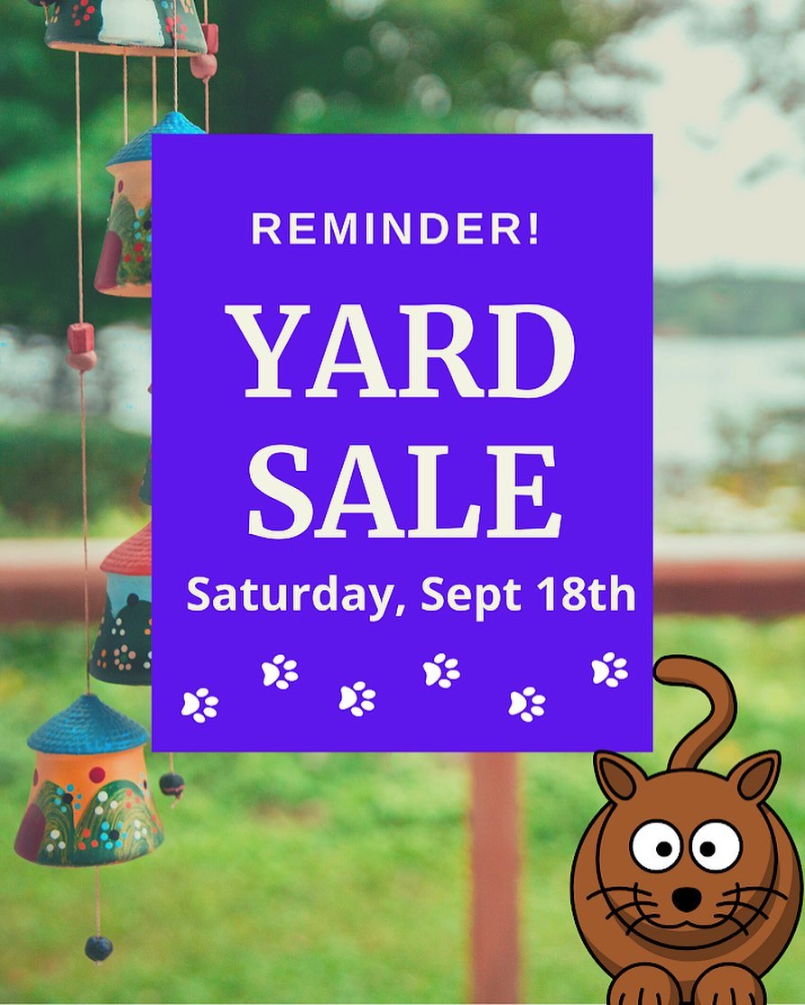 Friendly reminder that this Saturday (18th) is yard sale day!  Pets Bring Joy will be hosting multiple tables with great finds!  All proceeds will benefit the PBJ rescue mission. We hope to see you there 😻
Date: Sat, Sept 18
Time: 7AM-1PM
Location: 10810 Paynes Church Dr, Fairfax, VA 22032