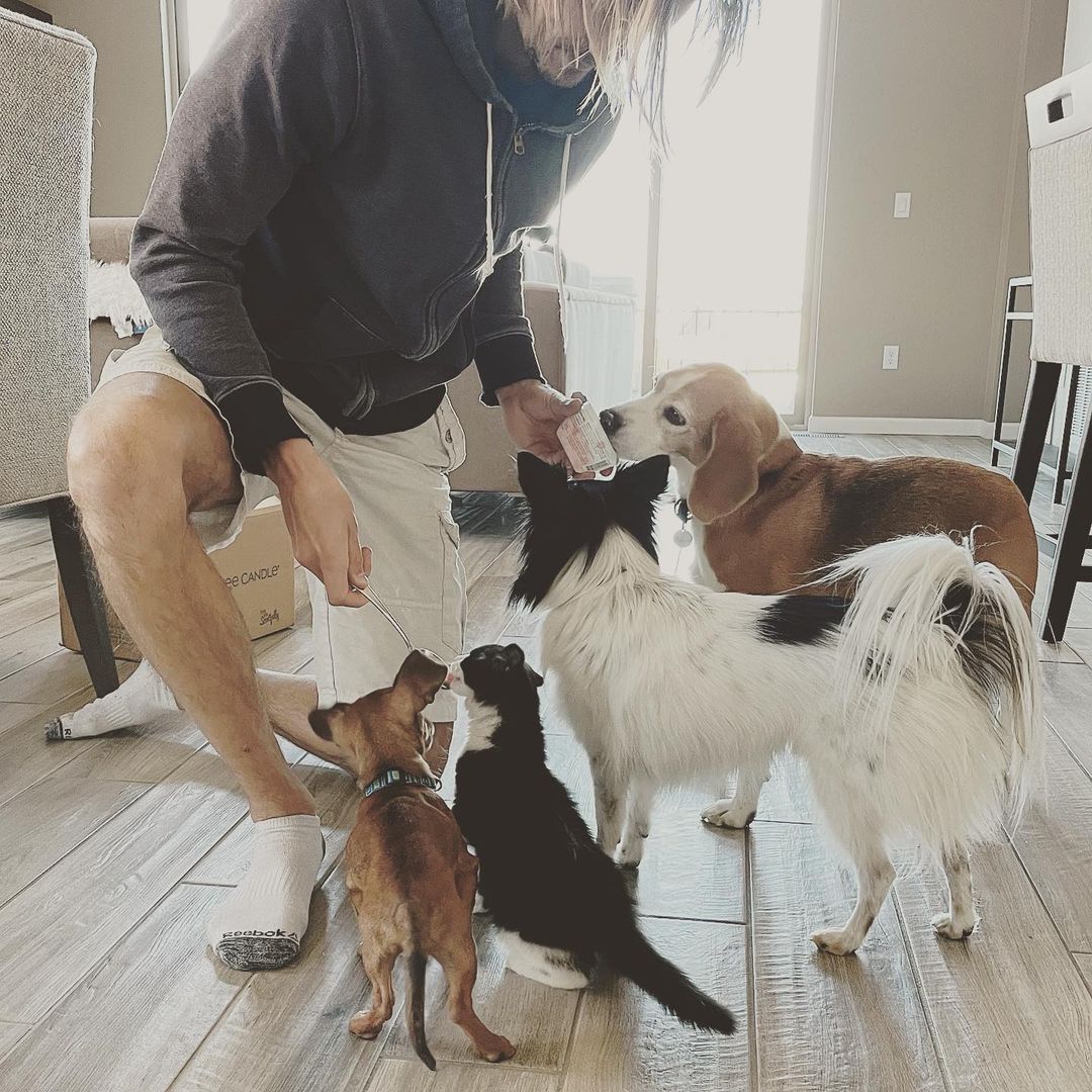 This crew was all once homeless.  Now they get morning yogurt and lots and lots of love.  <a target='_blank' href='https://www.instagram.com/explore/tags/fosteringsaveslives/'>#fosteringsaveslives</a> 
.
.
.
.
<a target='_blank' href='https://www.instagram.com/explore/tags/rescuedogsofinstagram/'>#rescuedogsofinstagram</a> <a target='_blank' href='https://www.instagram.com/explore/tags/rescue/'>#rescue</a> <a target='_blank' href='https://www.instagram.com/explore/tags/rescuedismyfavoritebreed/'>#rescuedismyfavoritebreed</a> <a target='_blank' href='https://www.instagram.com/explore/tags/beagle/'>#beagle</a> <a target='_blank' href='https://www.instagram.com/explore/tags/dachshund/'>#dachshund</a> <a target='_blank' href='https://www.instagram.com/explore/tags/kitty/'>#kitty</a> <a target='_blank' href='https://www.instagram.com/explore/tags/kitten/'>#kitten</a> <a target='_blank' href='https://www.instagram.com/explore/tags/pomeranian/'>#pomeranian</a> <a target='_blank' href='https://www.instagram.com/explore/tags/petsofinstagram/'>#petsofinstagram</a> <a target='_blank' href='https://www.instagram.com/explore/tags/pet/'>#pet</a> <a target='_blank' href='https://www.instagram.com/explore/tags/dogoftheday/'>#dogoftheday</a> <a target='_blank' href='https://www.instagram.com/explore/tags/dogsofinstagram/'>#dogsofinstagram</a> <a target='_blank' href='https://www.instagram.com/explore/tags/doglovers/'>#doglovers</a> <a target='_blank' href='https://www.instagram.com/explore/tags/dog/'>#dog</a> <a target='_blank' href='https://www.instagram.com/explore/tags/coloradodogs/'>#coloradodogs</a> <a target='_blank' href='https://www.instagram.com/explore/tags/denver/'>#denver</a> <a target='_blank' href='https://www.instagram.com/explore/tags/dogmodel/'>#dogmodel</a> <a target='_blank' href='https://www.instagram.com/explore/tags/animallovers/'>#animallovers</a> <a target='_blank' href='https://www.instagram.com/explore/tags/love/'>#love</a> <a target='_blank' href='https://www.instagram.com/explore/tags/weekend/'>#weekend</a> <a target='_blank' href='https://www.instagram.com/explore/tags/adoptdontshop/'>#adoptdontshop</a> <a target='_blank' href='https://www.instagram.com/explore/tags/woof/'>#woof</a> <a target='_blank' href='https://www.instagram.com/explore/tags/family/'>#family</a> <a target='_blank' href='https://www.instagram.com/explore/tags/dogoftheday/'>#dogoftheday</a> <a target='_blank' href='https://www.instagram.com/explore/tags/doglife/'>#doglife</a>