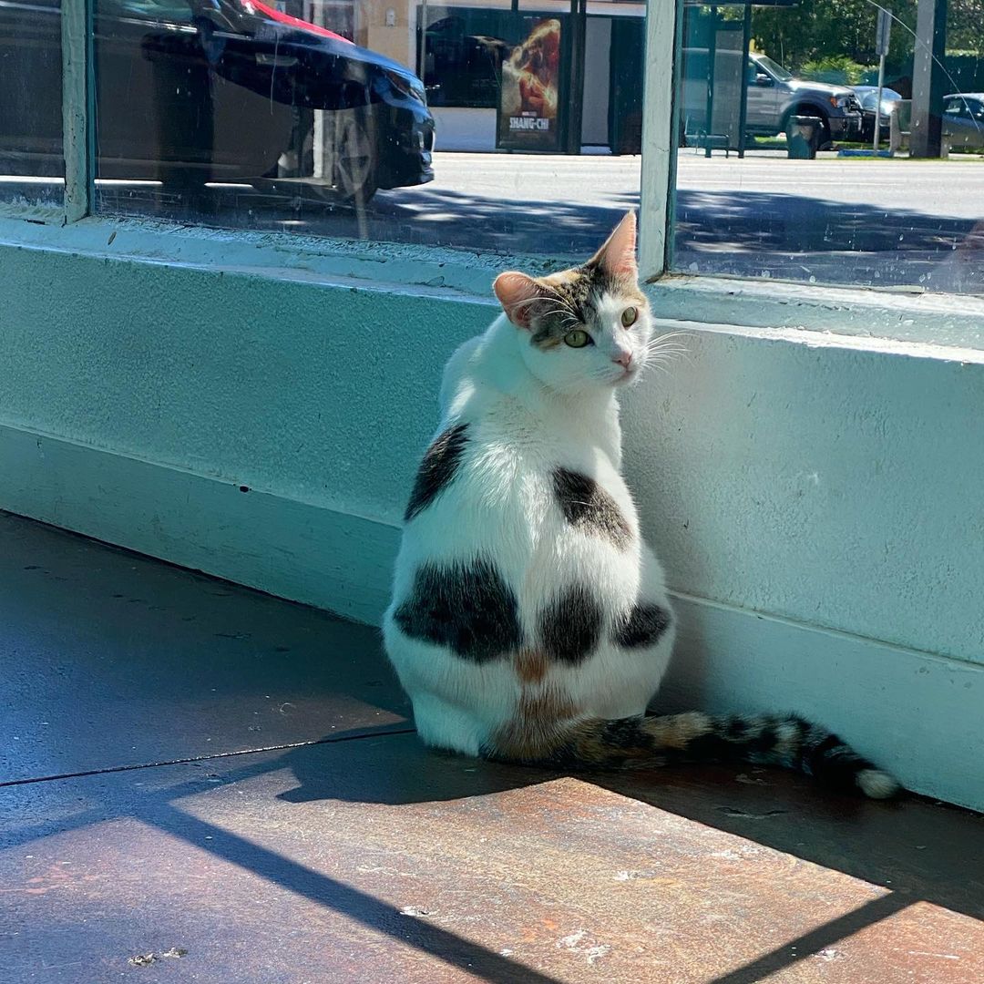 Awkwafina likes to sit here and say hello to passerbys… which would be so sweet if she weren’t doing it specifically to make us jealous.