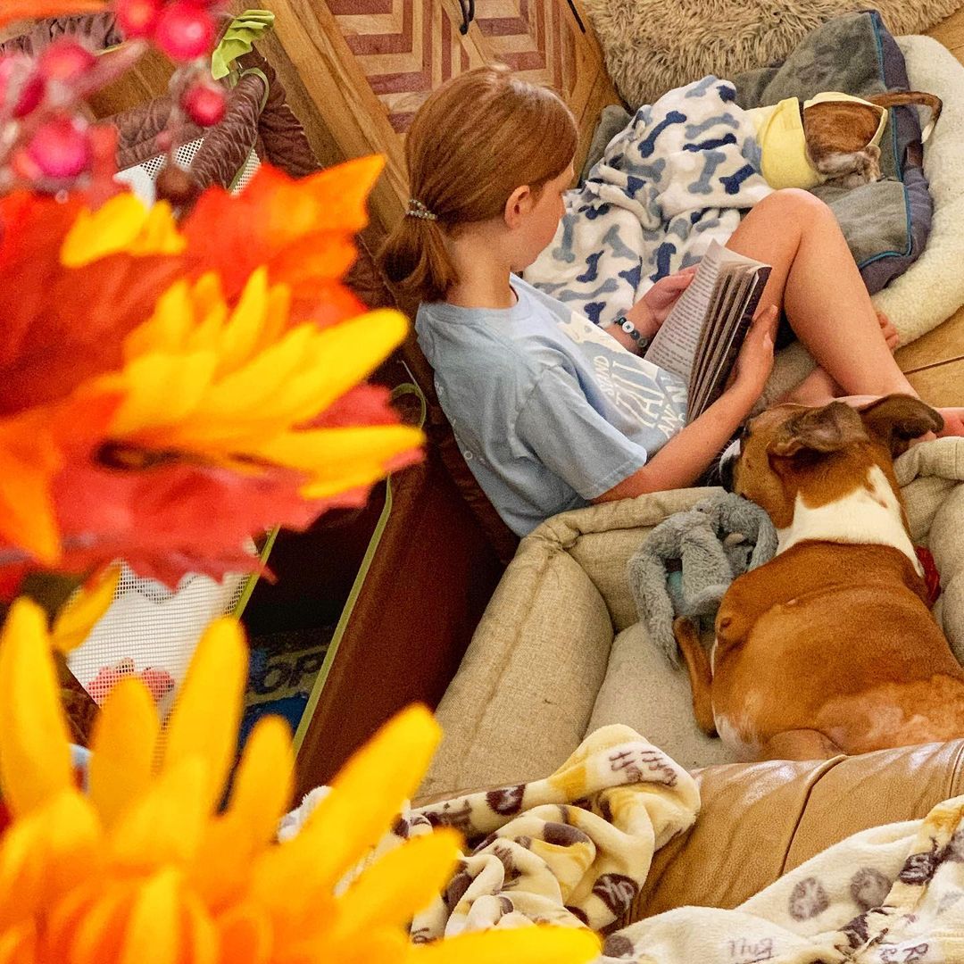 Mel loves when her big sis reads to her. Happy Fall, y’all! <a target='_blank' href='https://www.instagram.com/explore/tags/storytime/'>#storytime</a> <a target='_blank' href='https://www.instagram.com/explore/tags/itsfallyall/'>#itsfallyall</a> <a target='_blank' href='https://www.instagram.com/explore/tags/readtoadog/'>#readtoadog</a> <a target='_blank' href='https://www.instagram.com/explore/tags/loveyloaves/'>#loveyloaves</a> <a target='_blank' href='https://www.instagram.com/explore/tags/boxersofinstagram/'>#boxersofinstagram</a> <a target='_blank' href='https://www.instagram.com/explore/tags/boxerlife/'>#boxerlife</a>